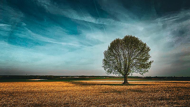 thrive-on-your-own
