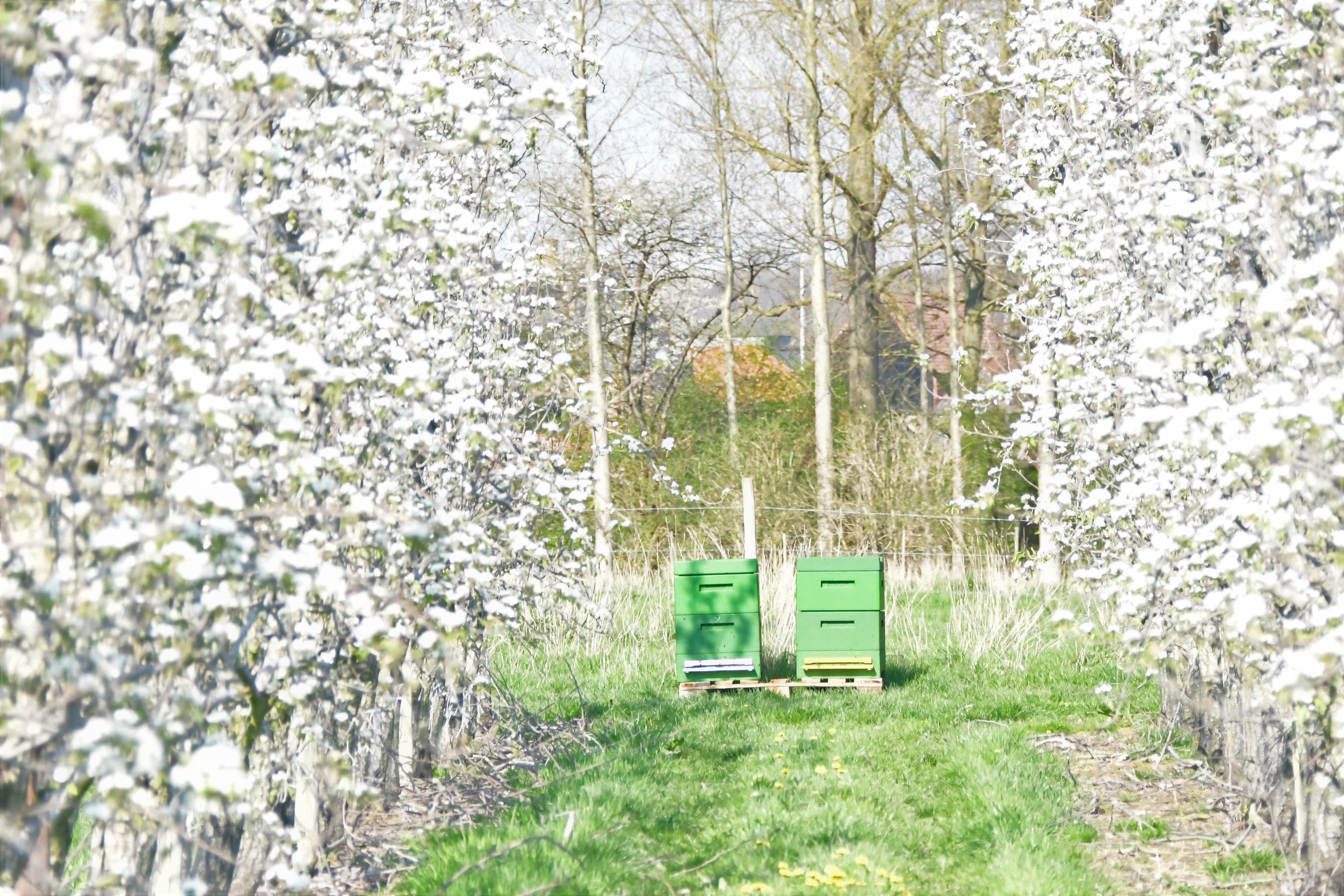 laat-het-verstuiven-maar-beginnen