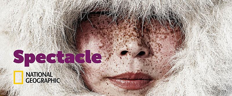 expositie-spectacle