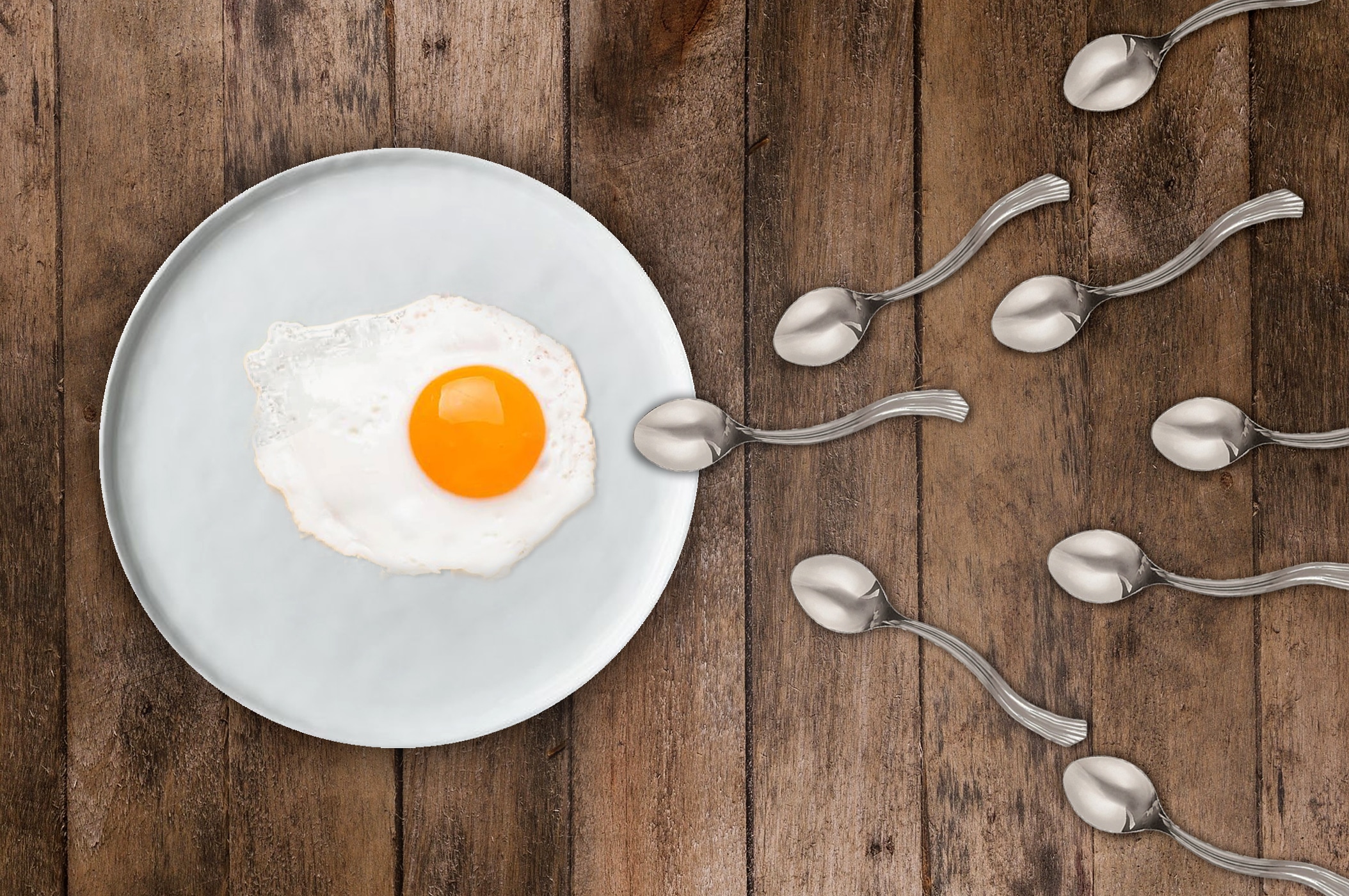 the-winner-takes-it-all