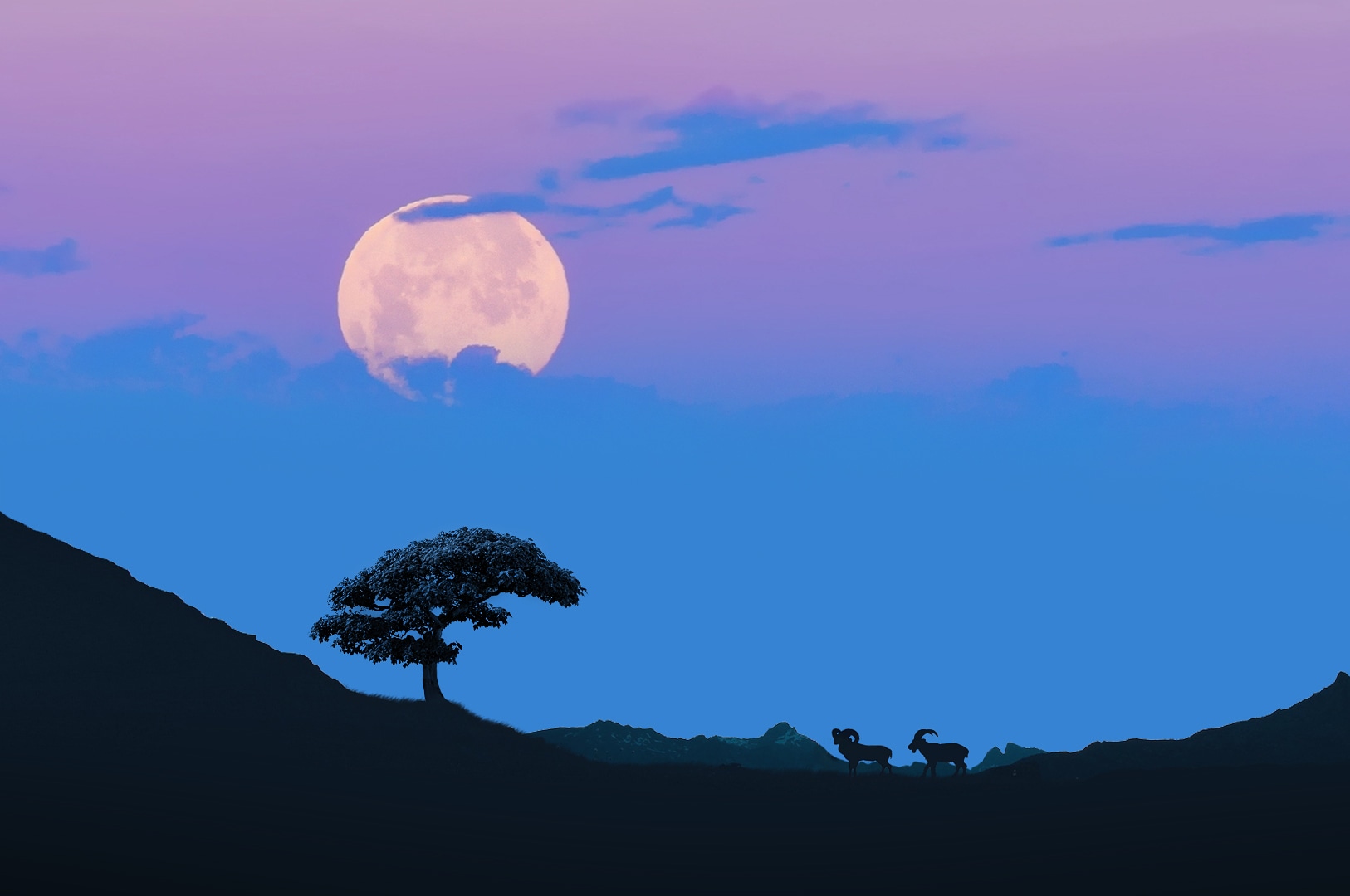 searching-for-a-place-to-rest