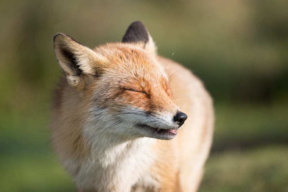 smile-and-enjoy-the-sun