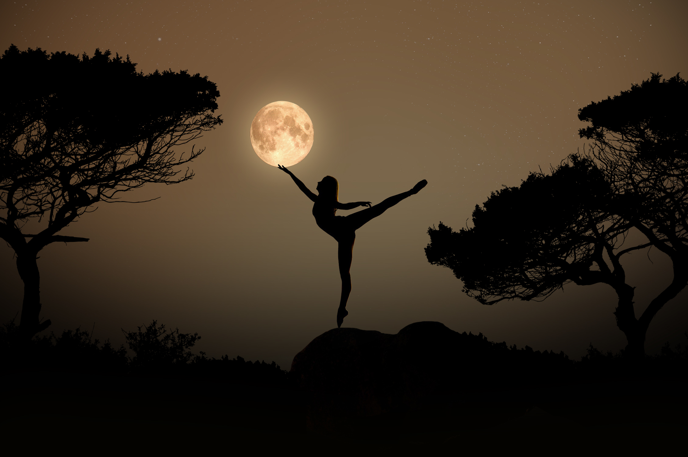 dancing-with-the-stars