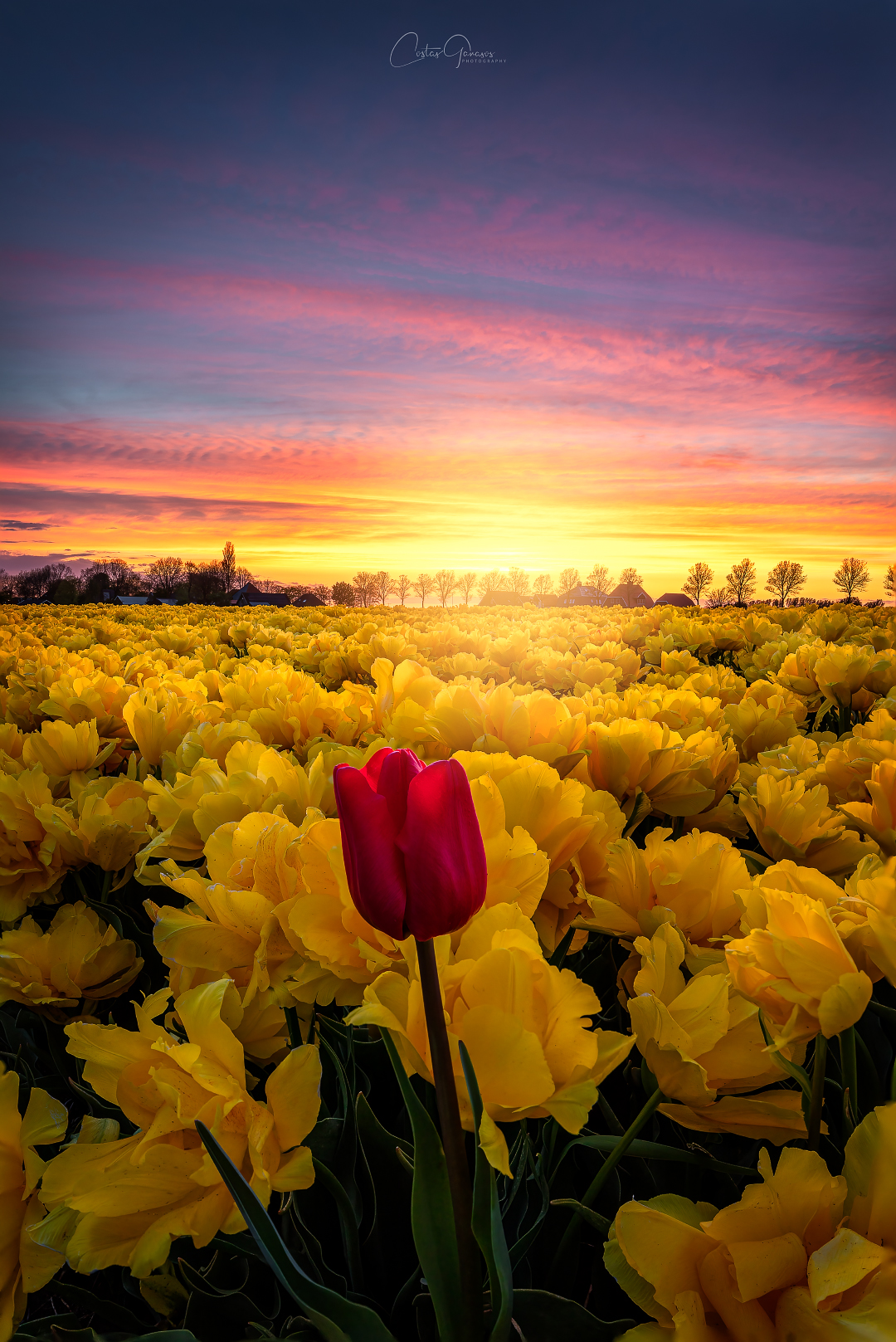 the-beauty-of-being-different