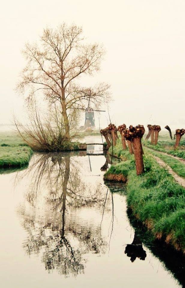 alblasserwaards-plaatje