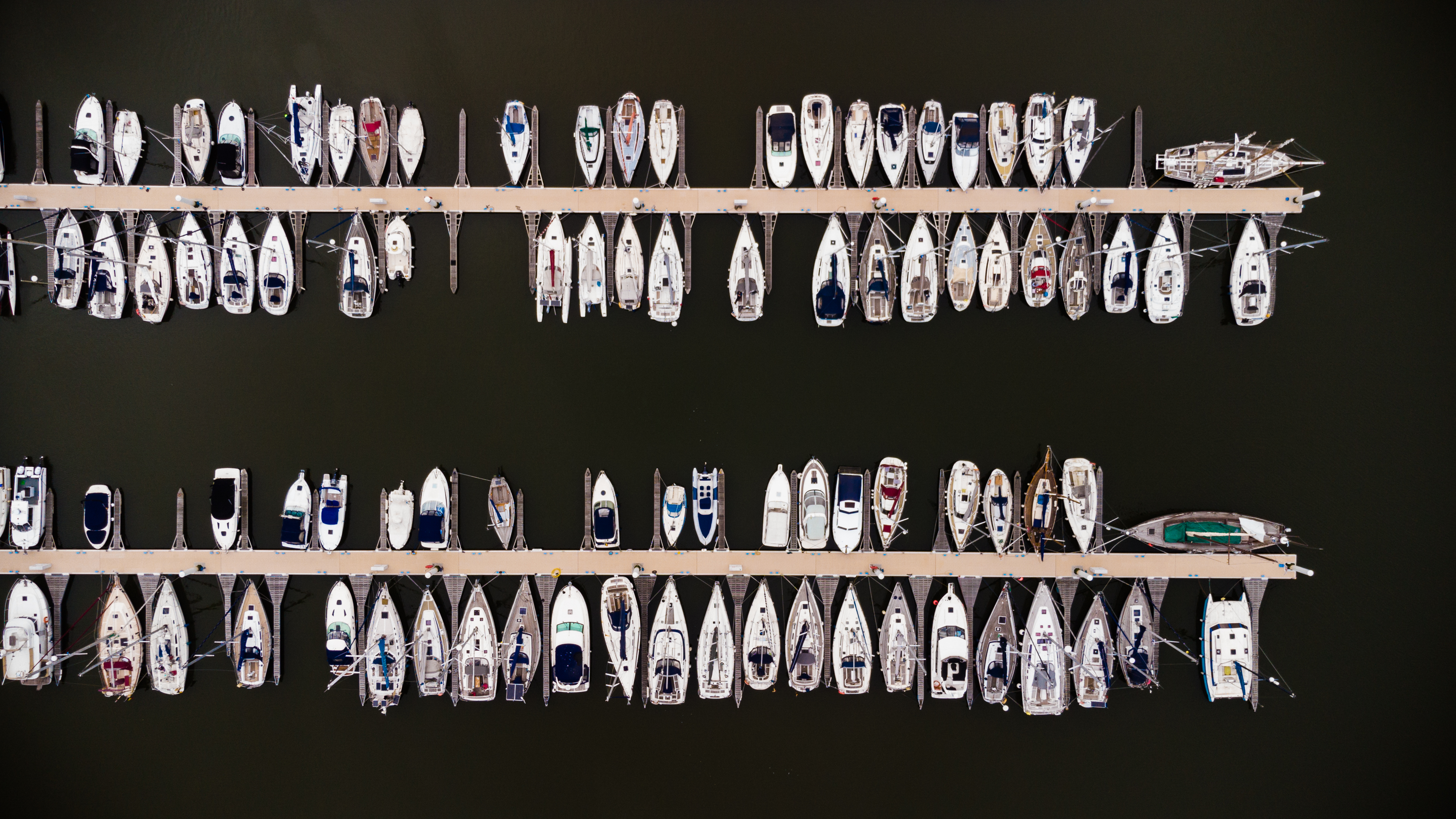 we-all-float-down-here