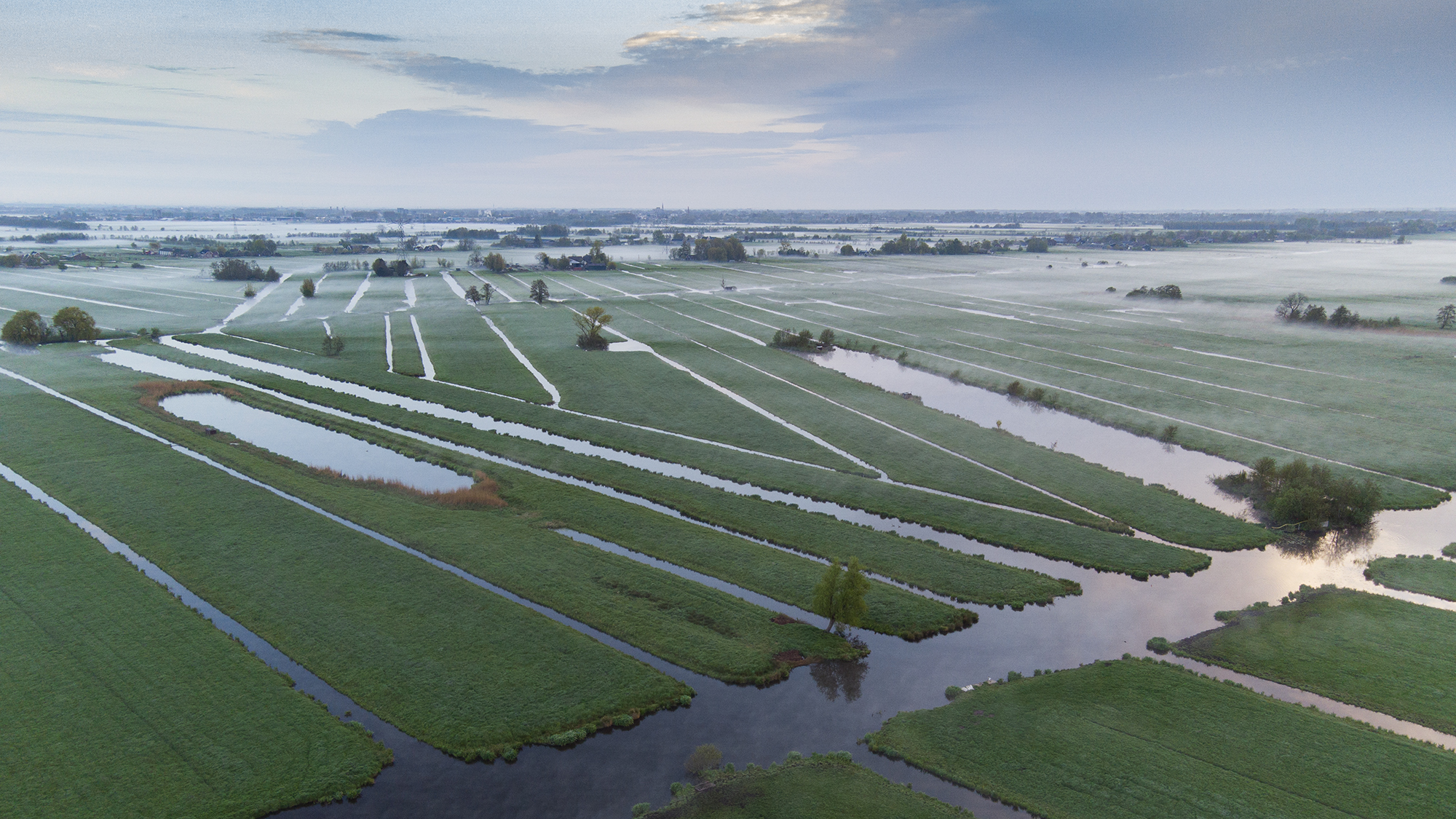 krimpenerwaard-in-de-vroege-morgen