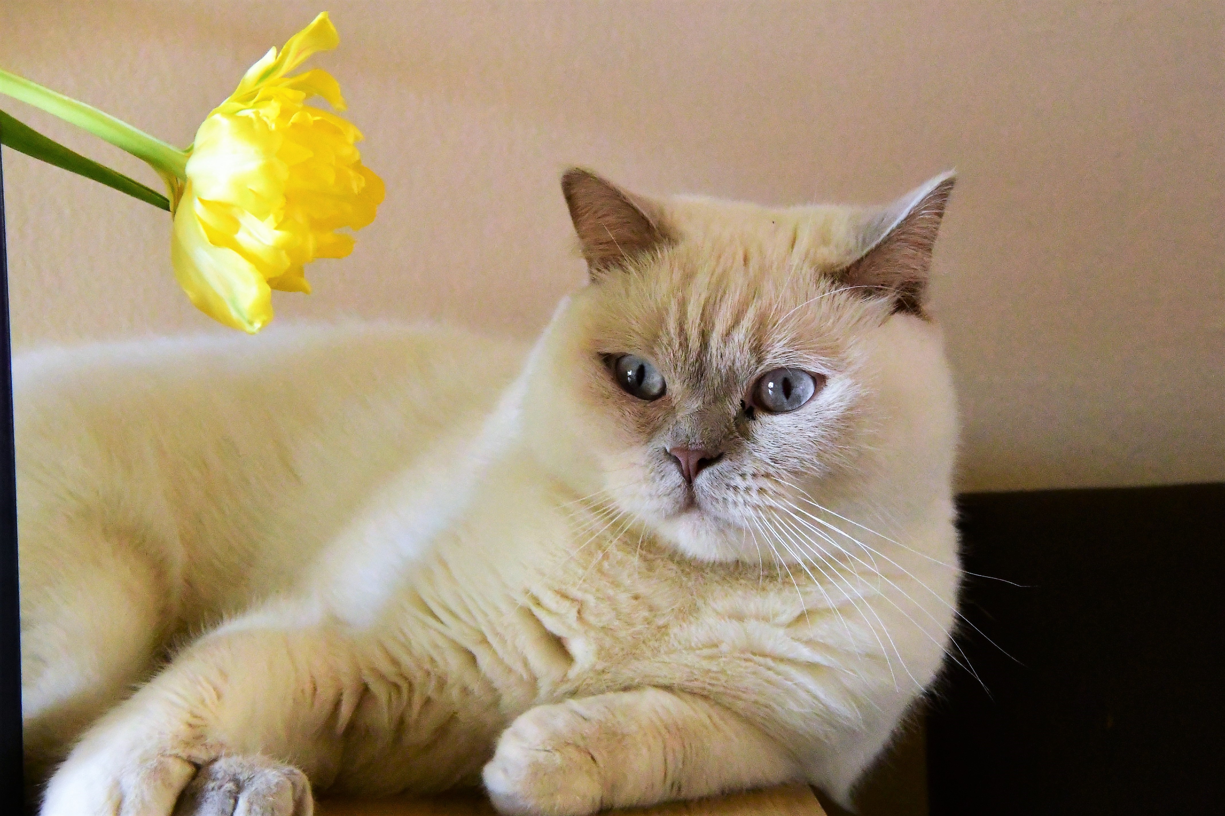 lekker-luieren-in-de-spotlicht