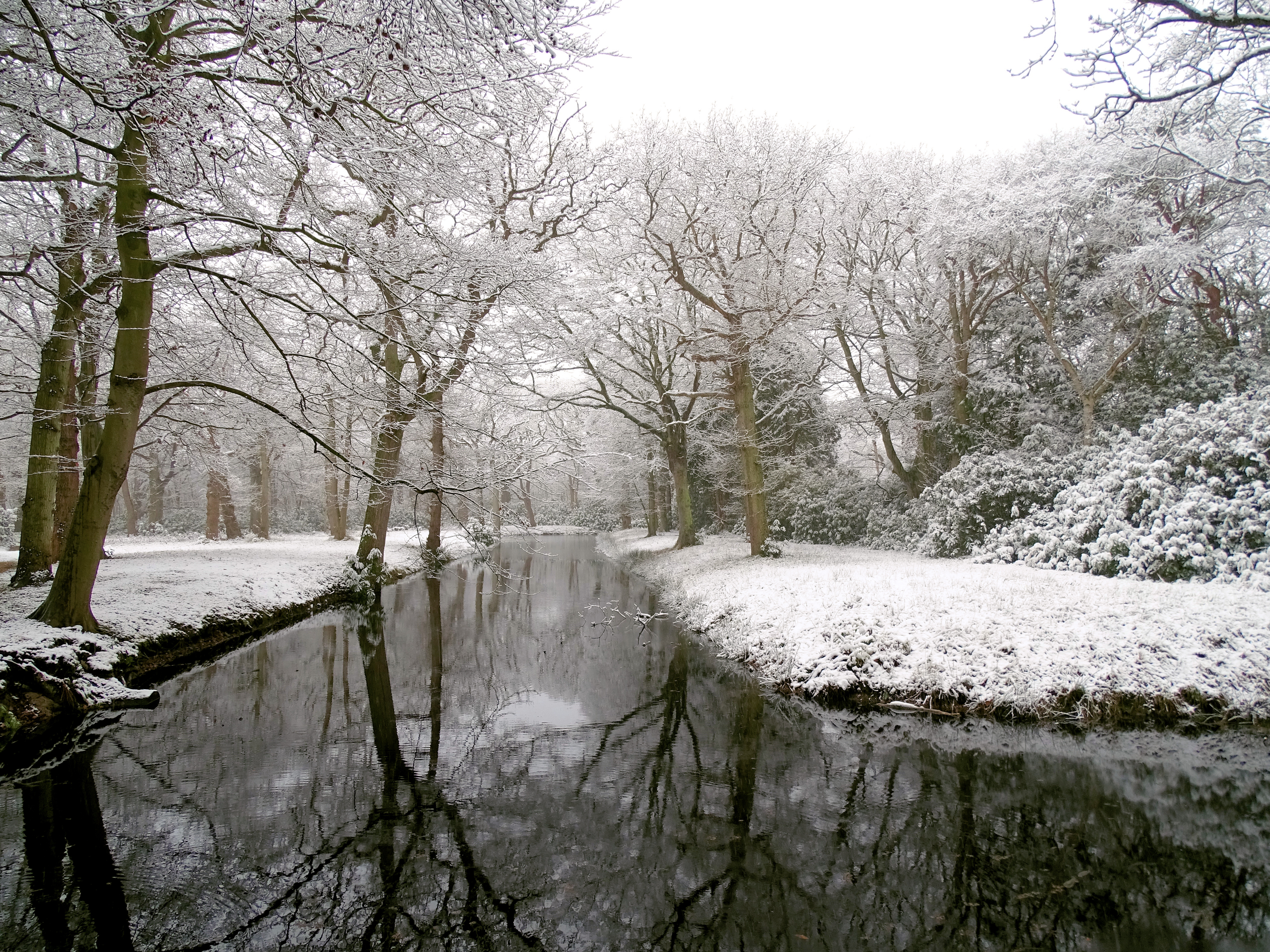 berkenbosch-in-de-sneeuw