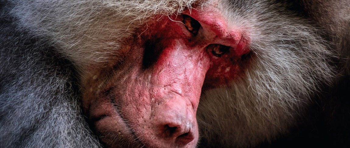 de-fujifilm-x-e3-is-kwalitatief-echt-een-beest