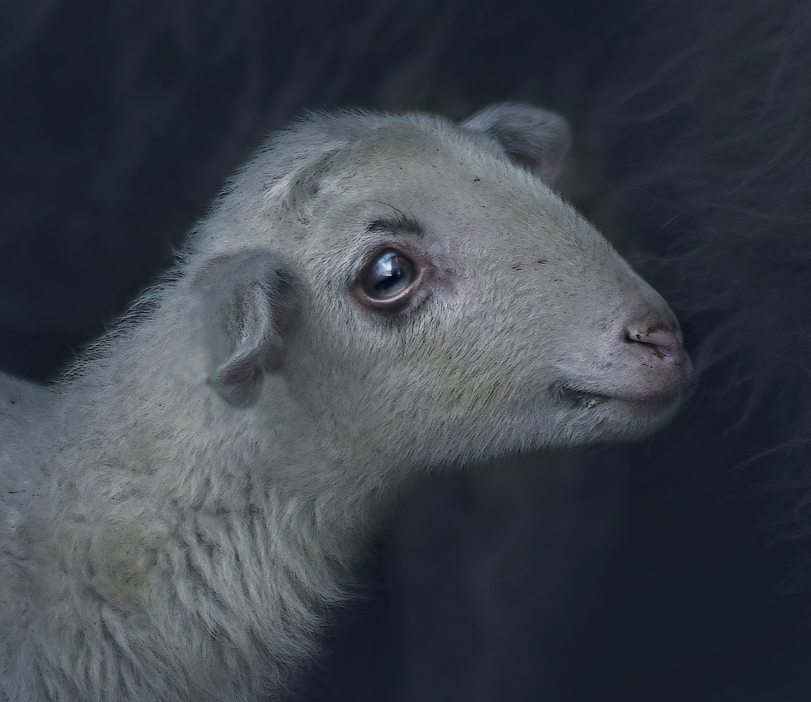 lente-de-stilte-van-de