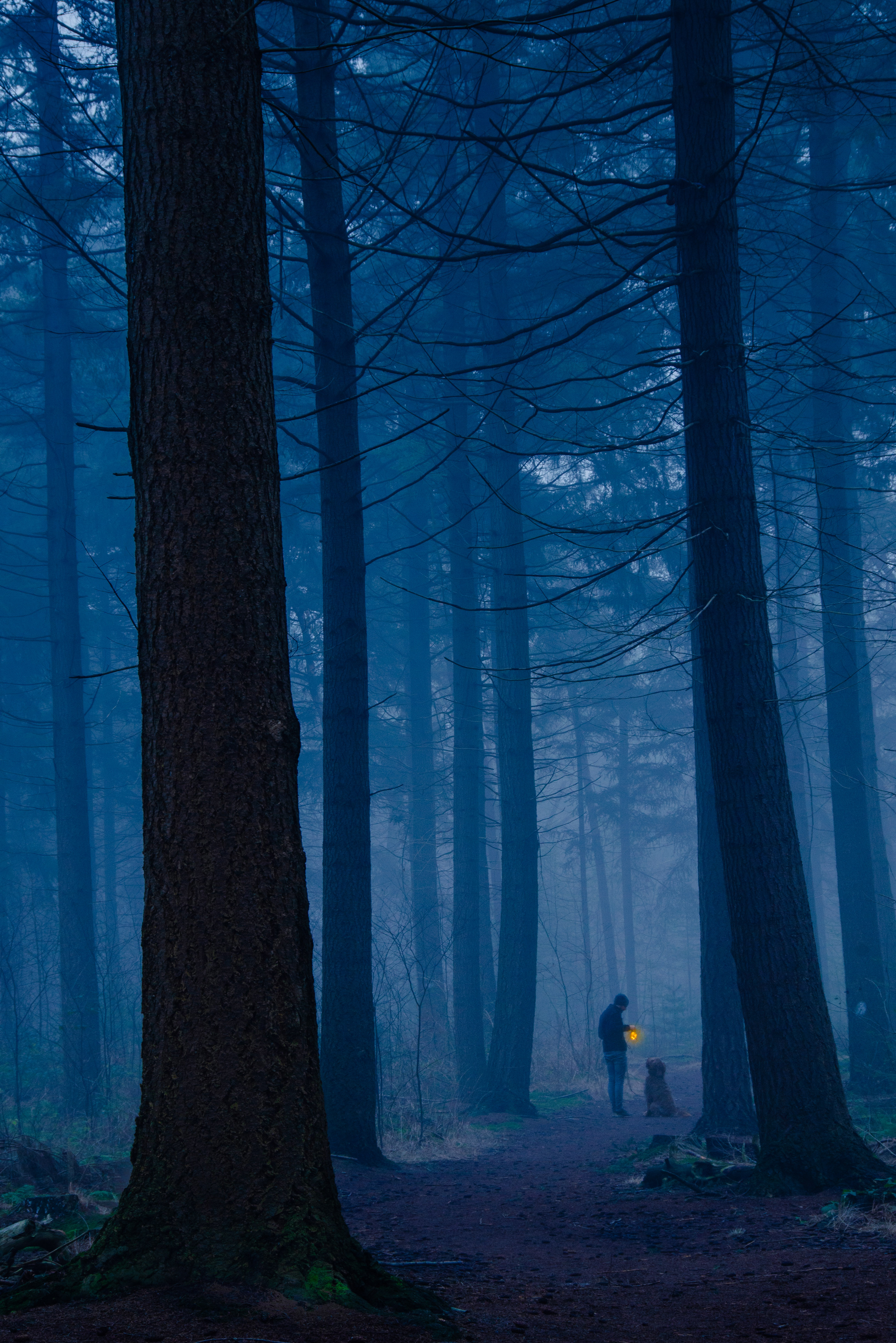 op-ontdekking-in-het-bos