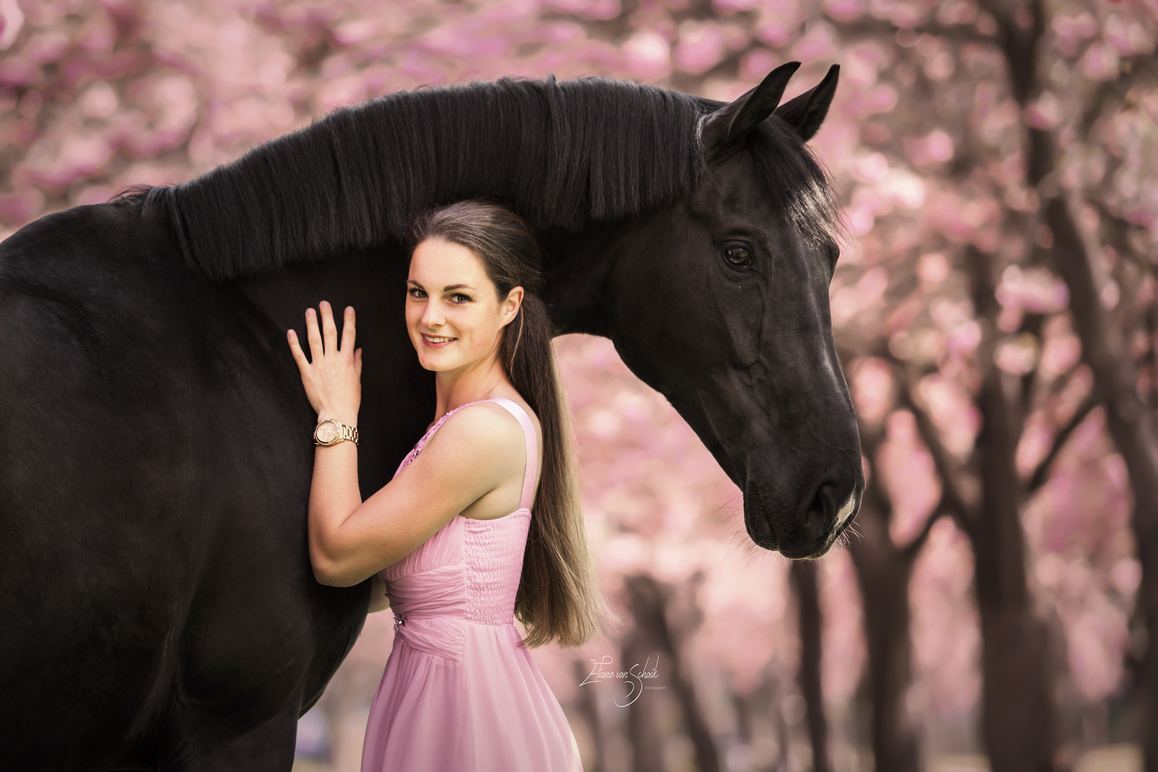 romantische-paardenfotografie-bloesem-1