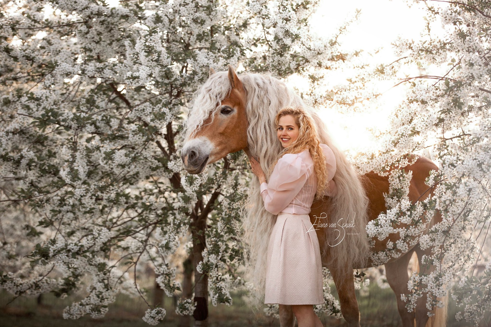 romantische-paardenfotografie-bloesem-paard