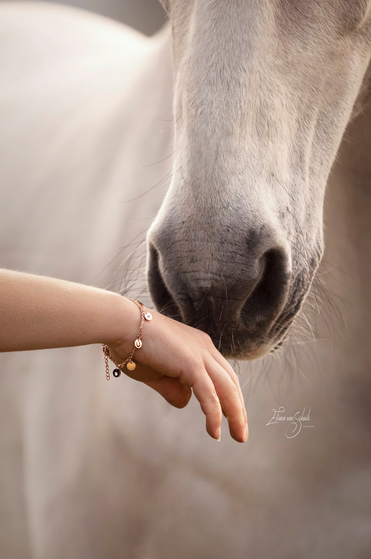 romantische-paardenfotografie-close-up-touch