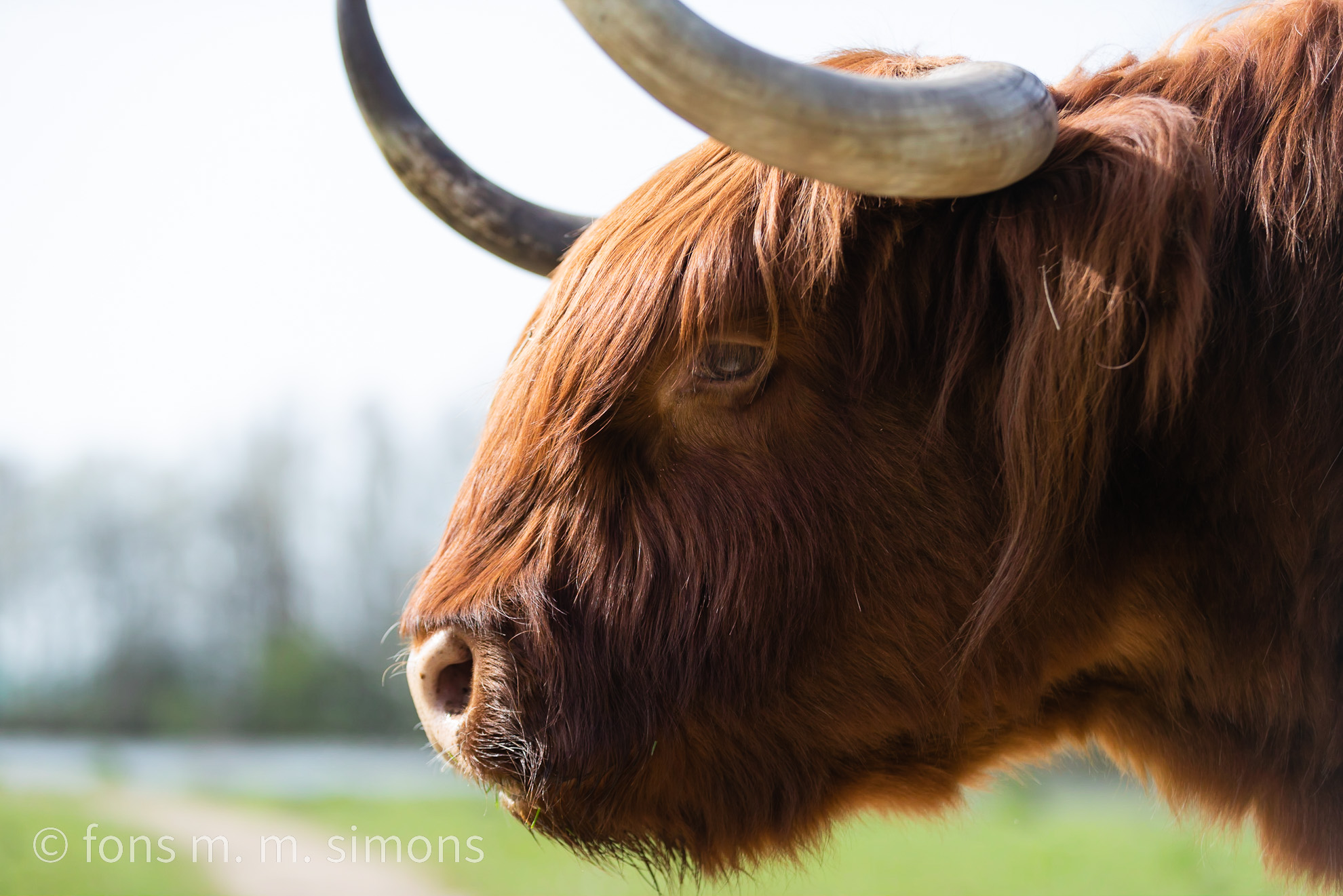 nog-net-coronaproef-15-meter