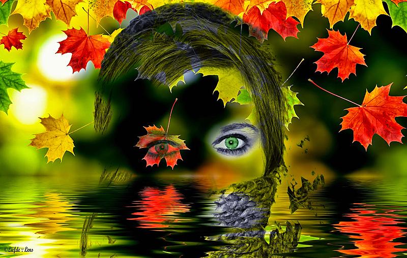 it-is-slowly-becoming-autumn