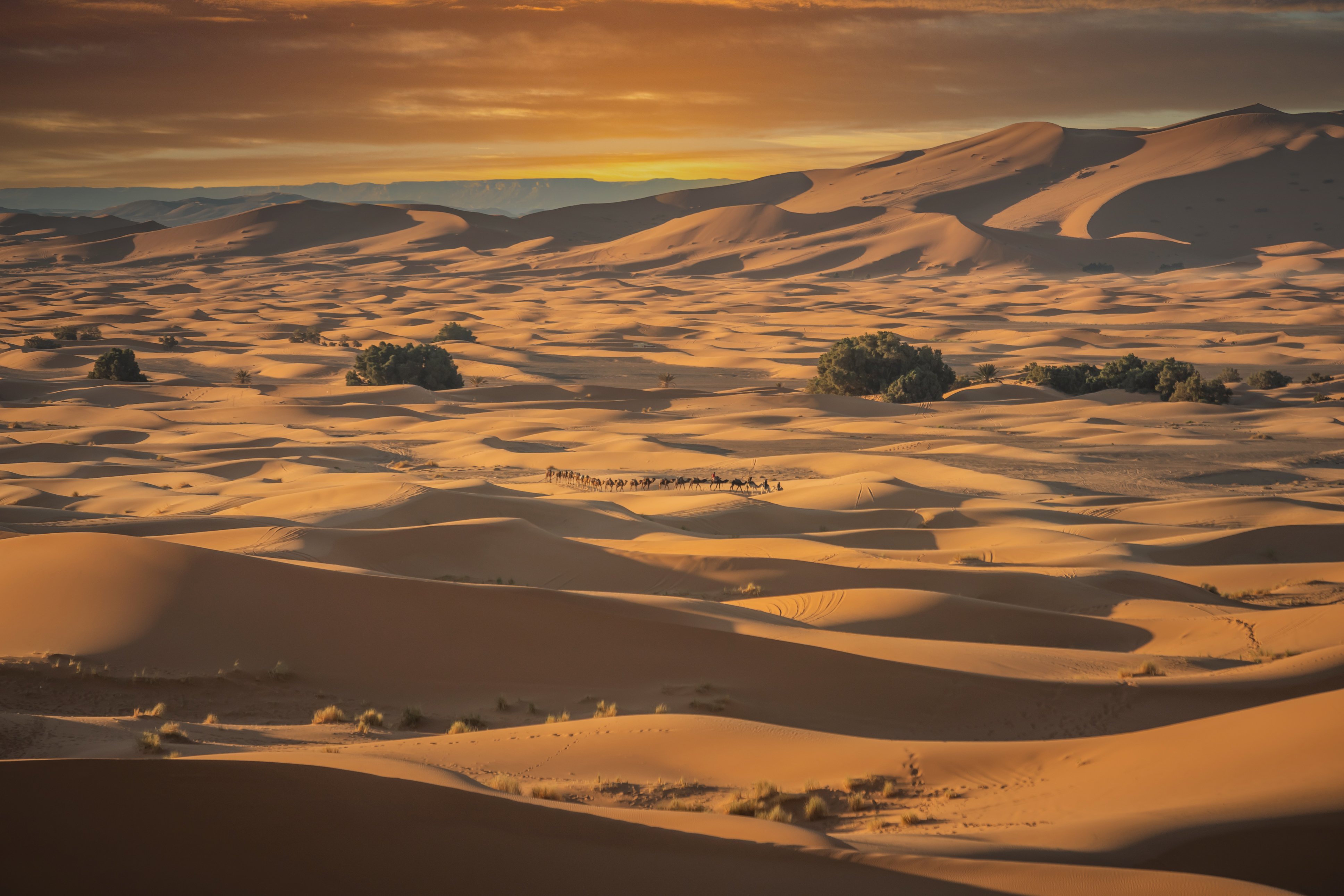 de-kleuren-van-de-woestijn