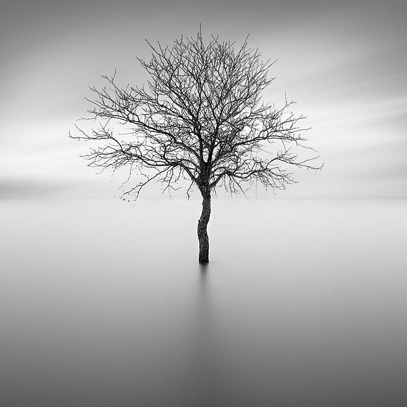 in-the-middle