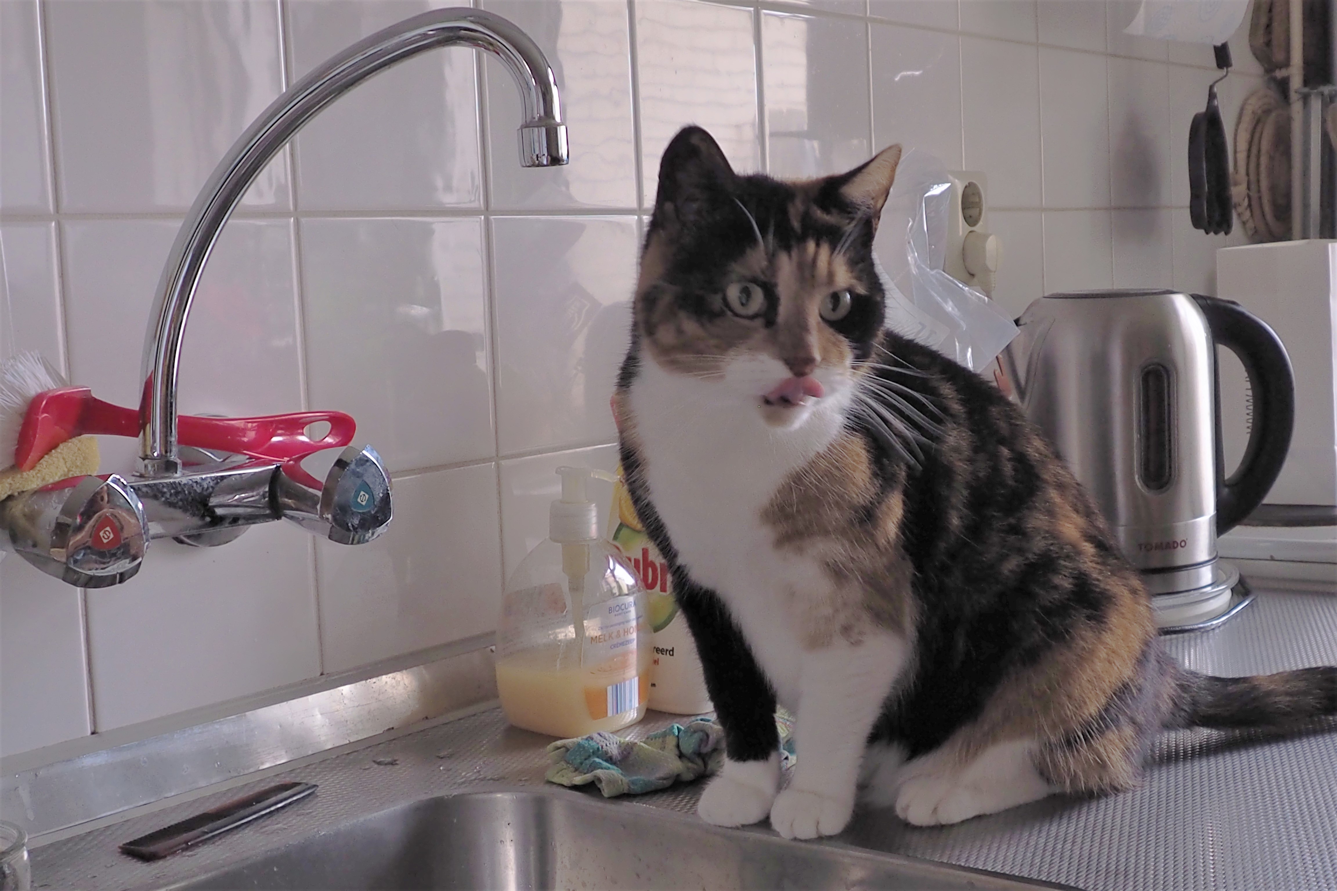 water-uit-de-kraan-is-zooo-lekker