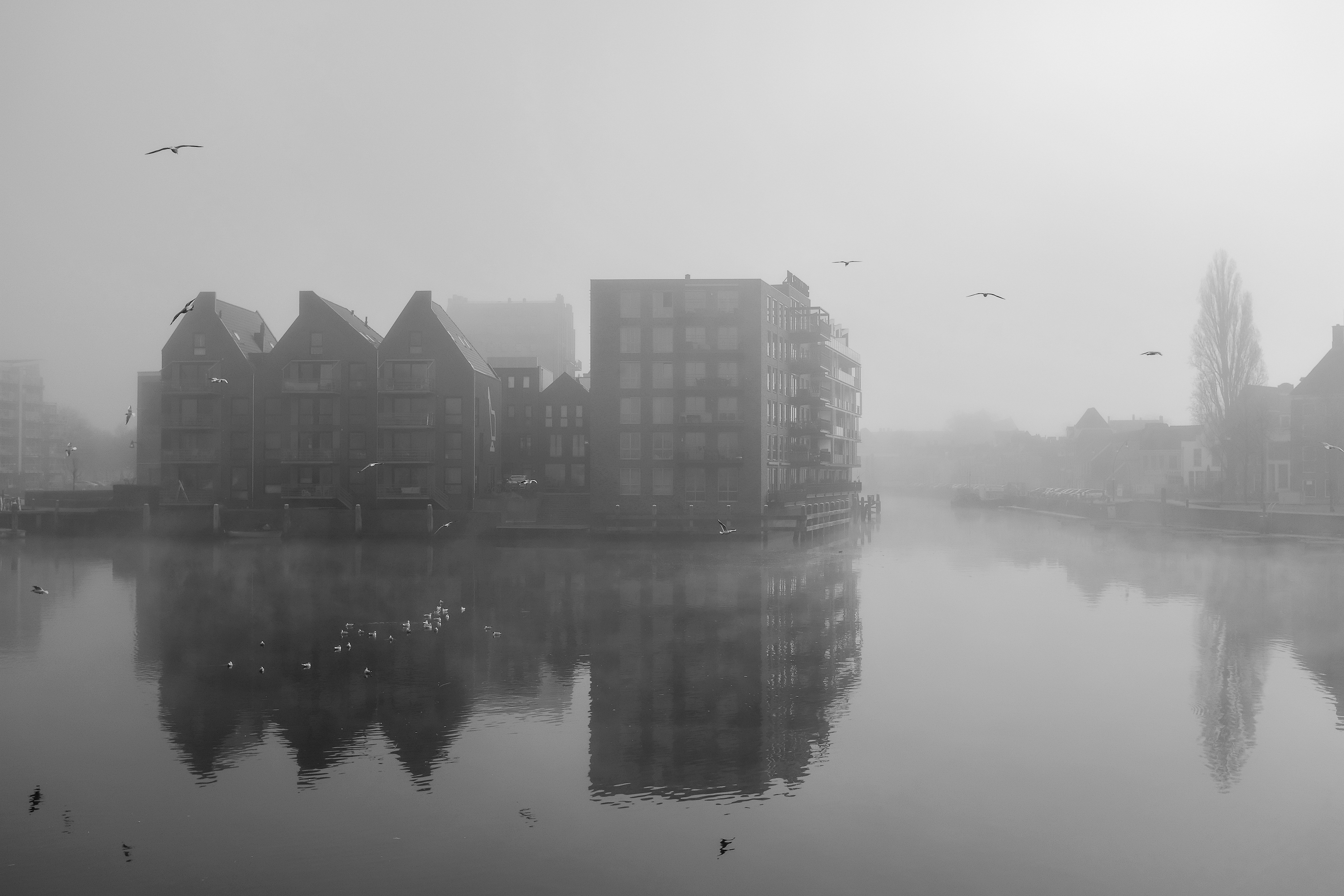 city-mirror-in-the-fog-zwolle
