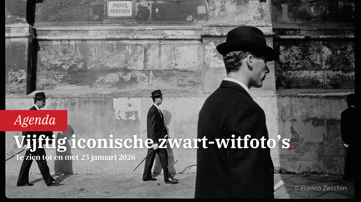 franco-zecchin-life-in-sicily-0