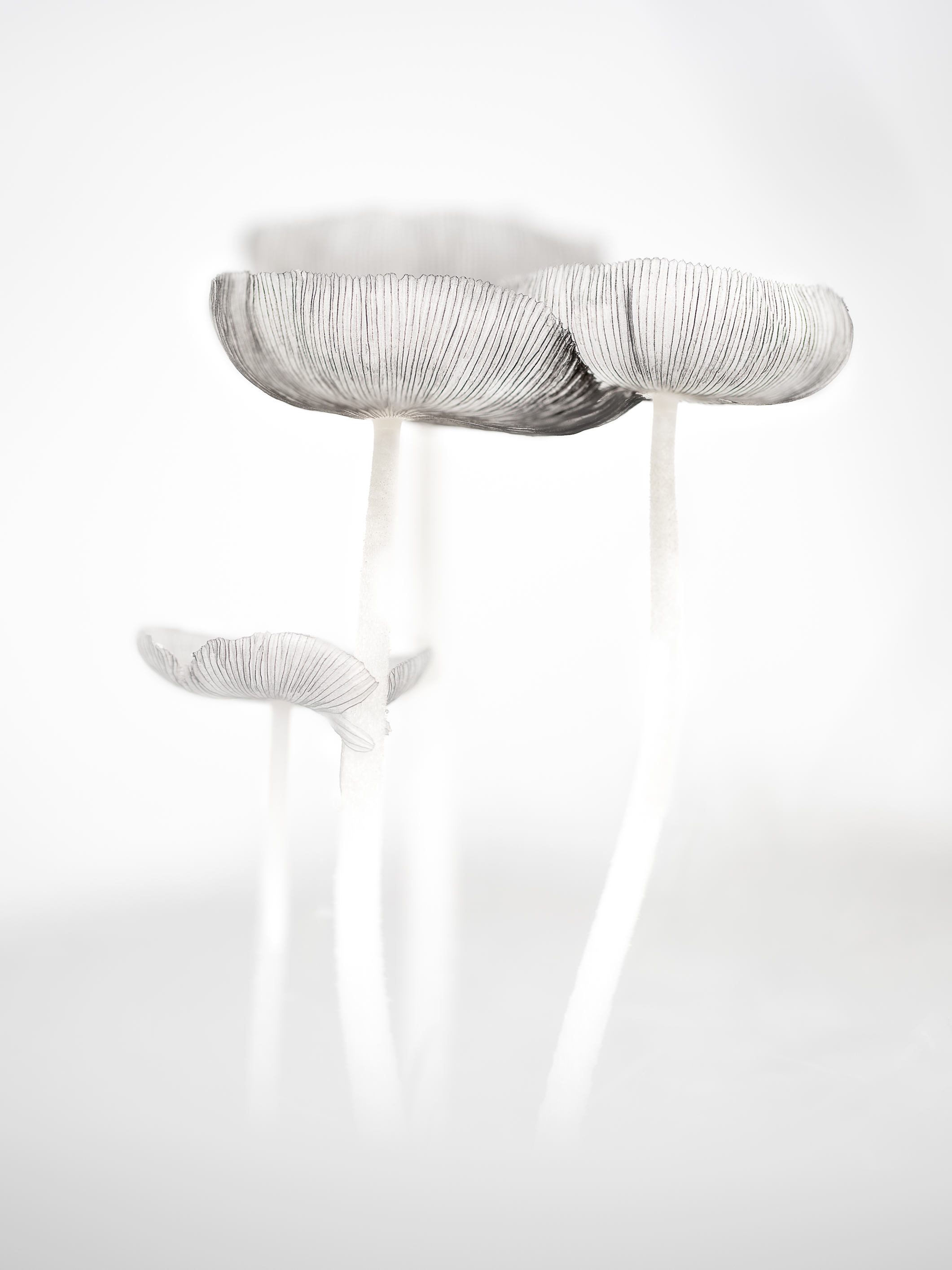 you-can-lean-into-me