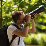 schelp-in-het-avondlicht