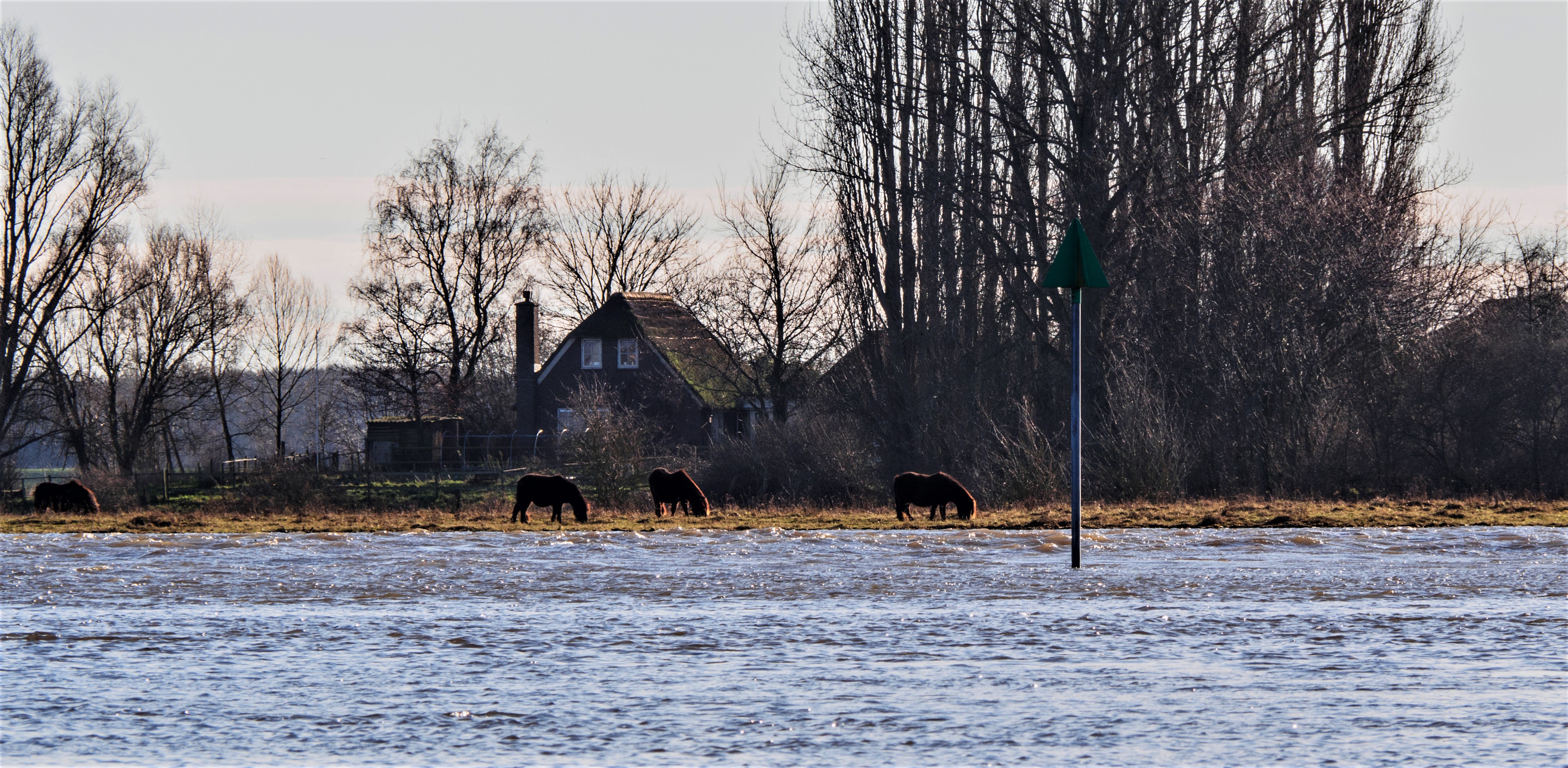 hoog-water-in-de-ijssel