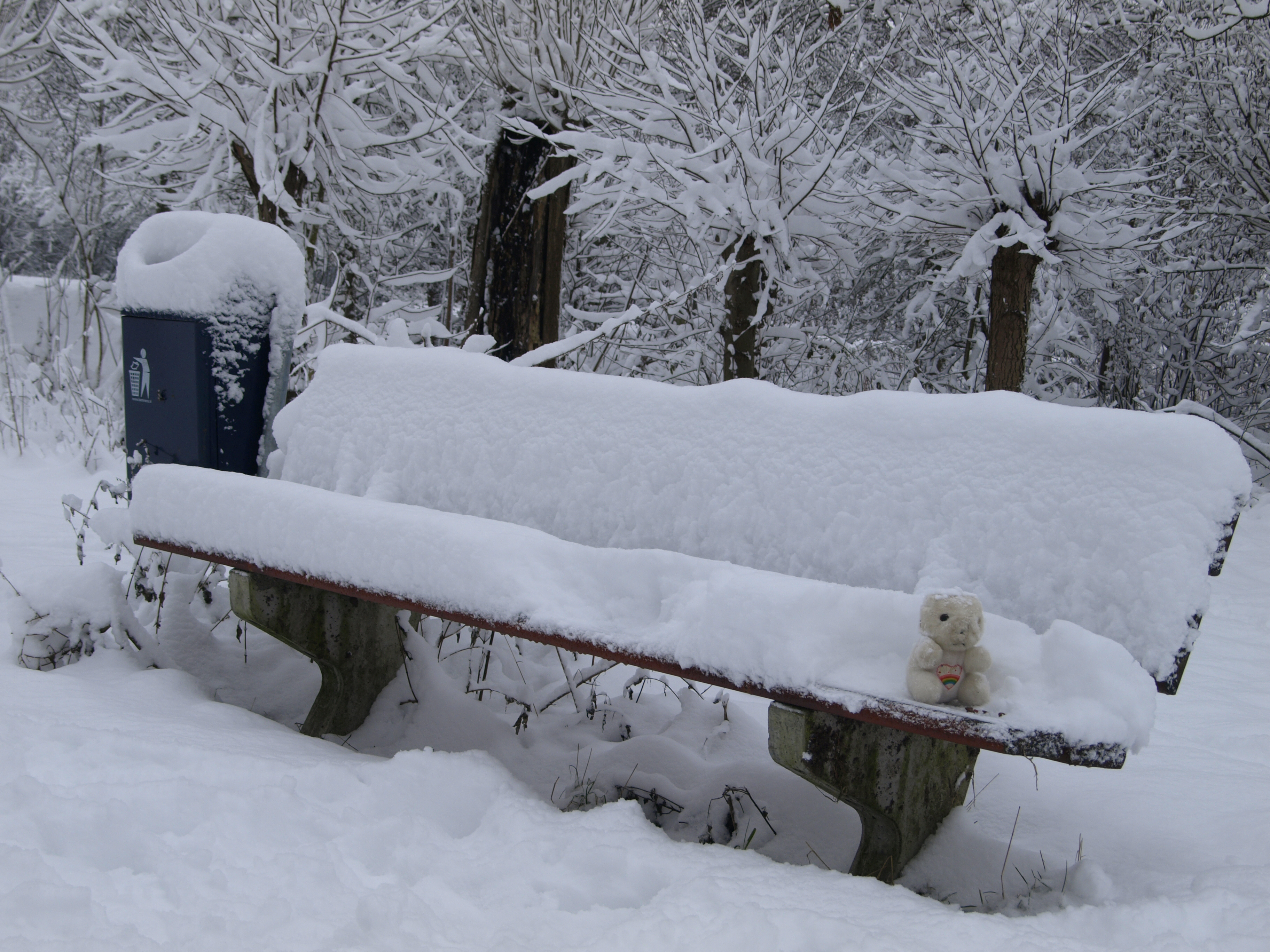 ijsbeertje-in-de-sneeuw