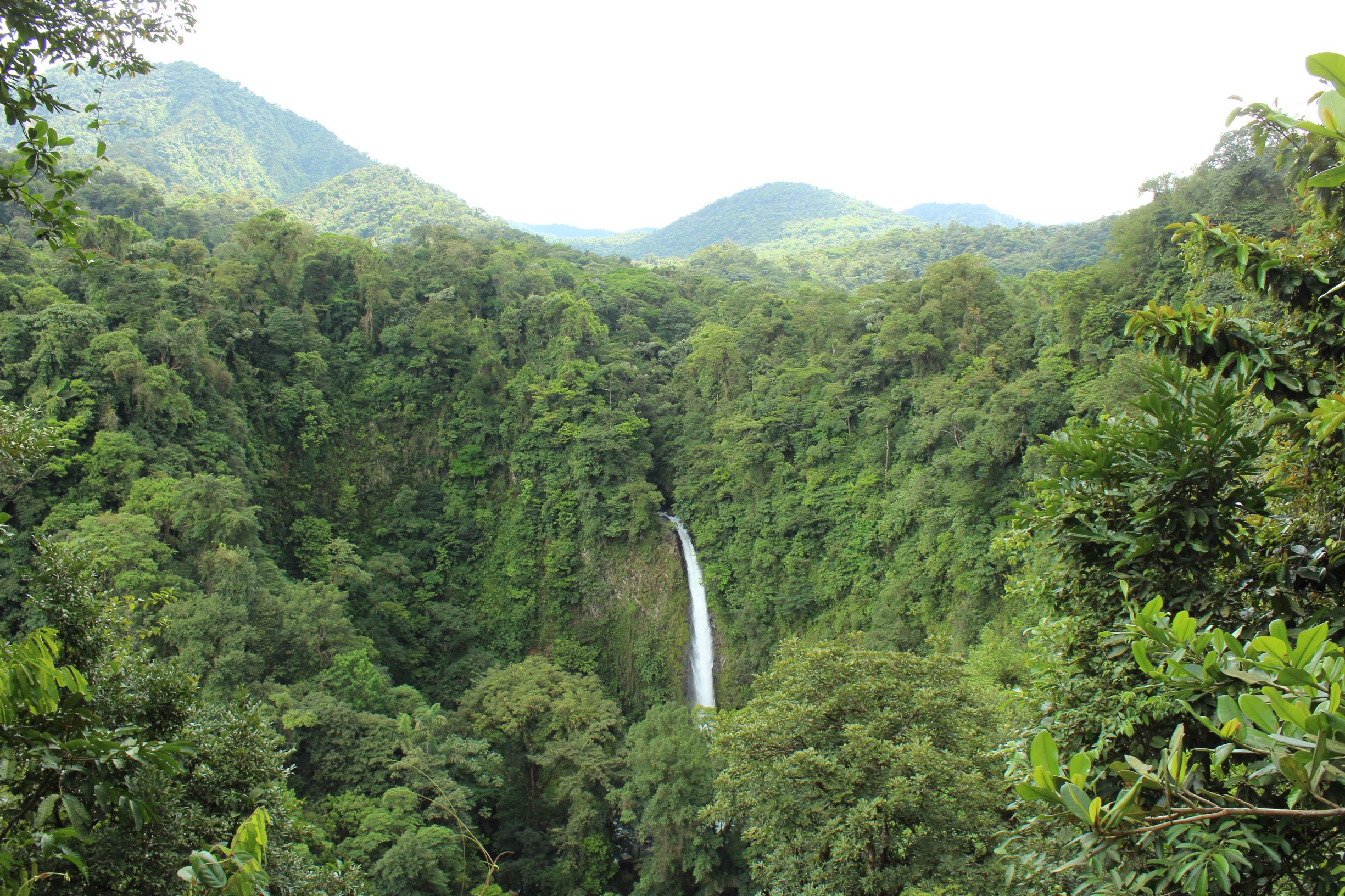 catarata-la-fortuna