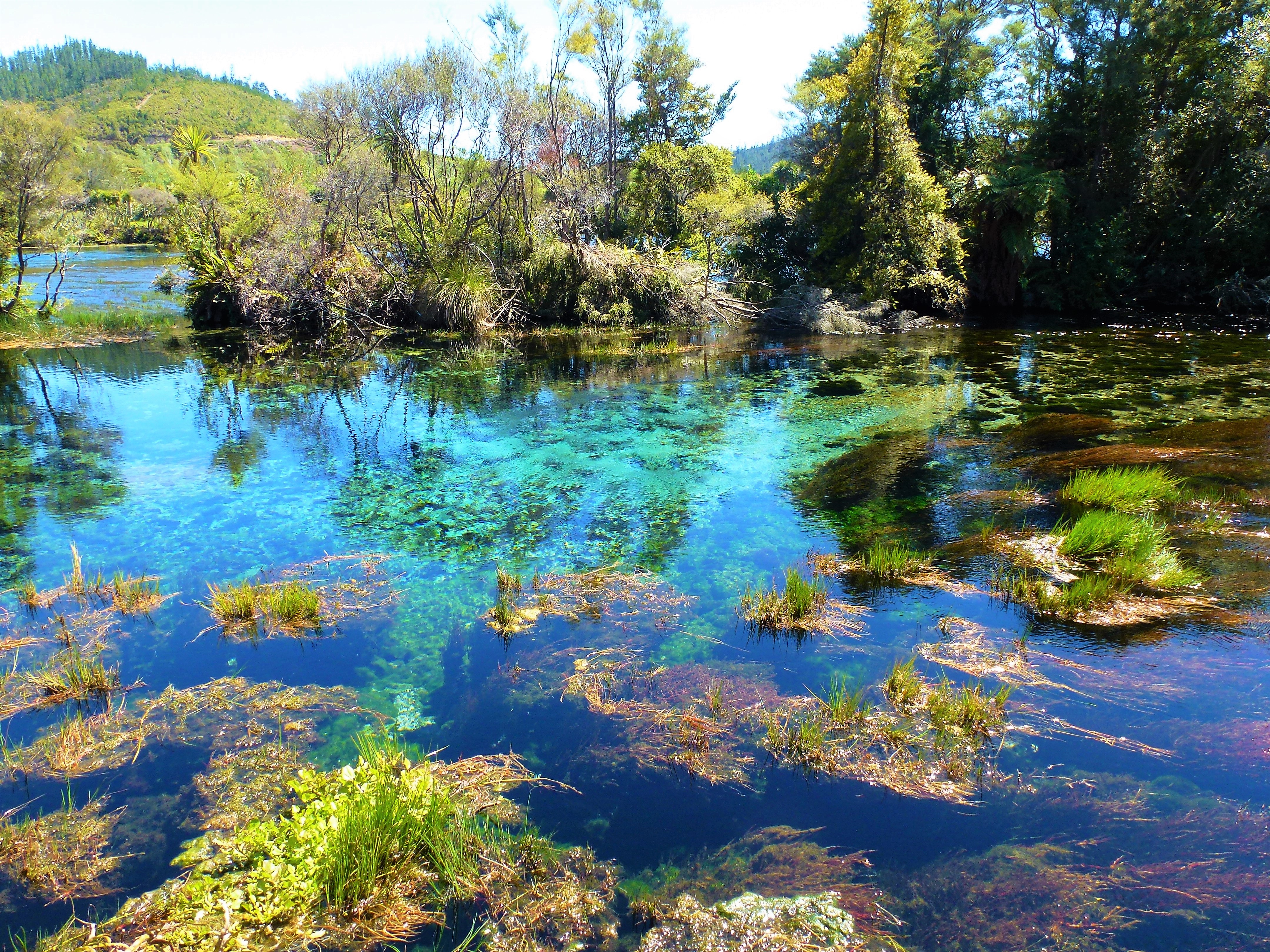 de-te-waikoropupu-springs-nieuw-zeeland
