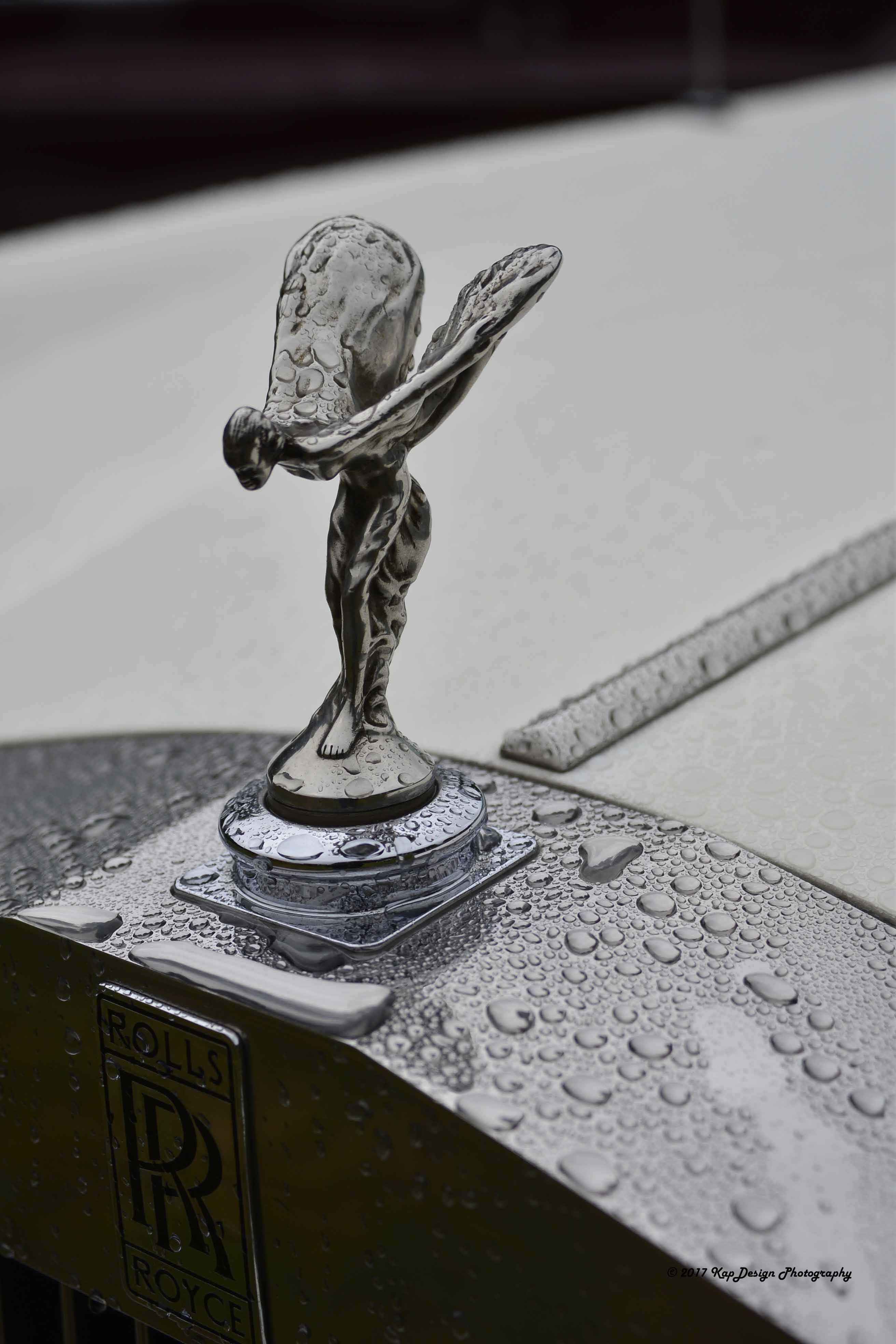 still-raining-concours-delegance