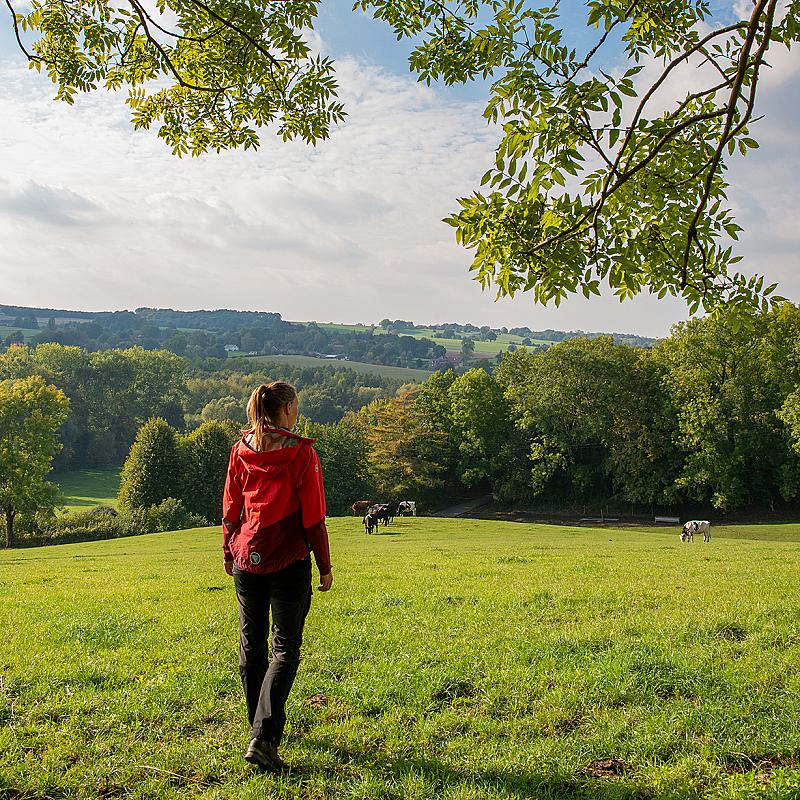 de-ultieme-fotogids-voor-de-dutch-mountain-trail