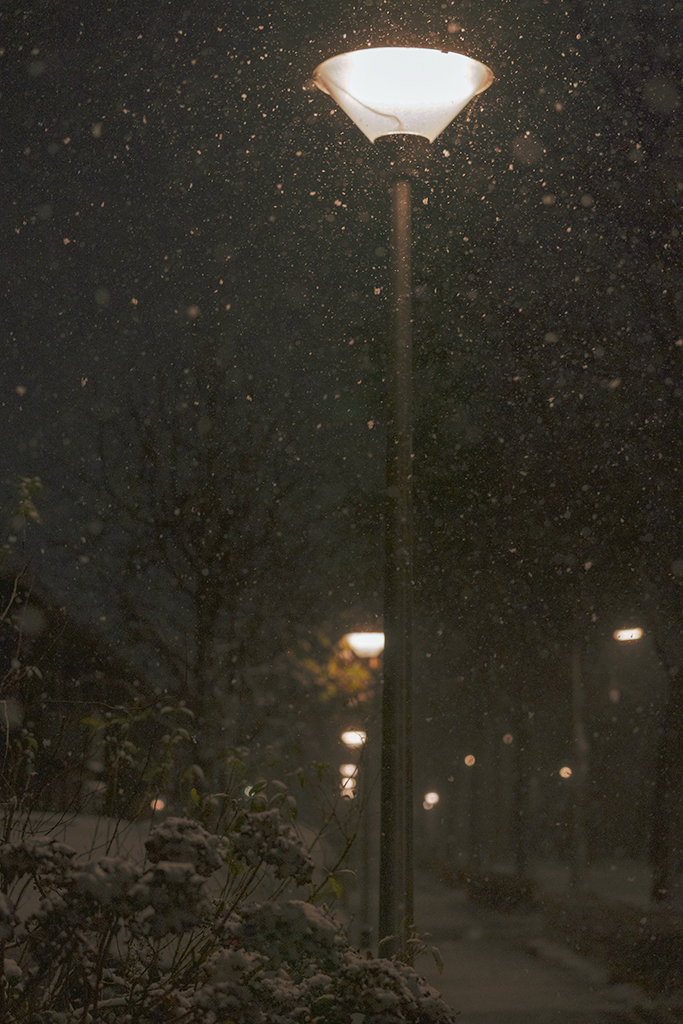 sneeuw-in-mijn-straat