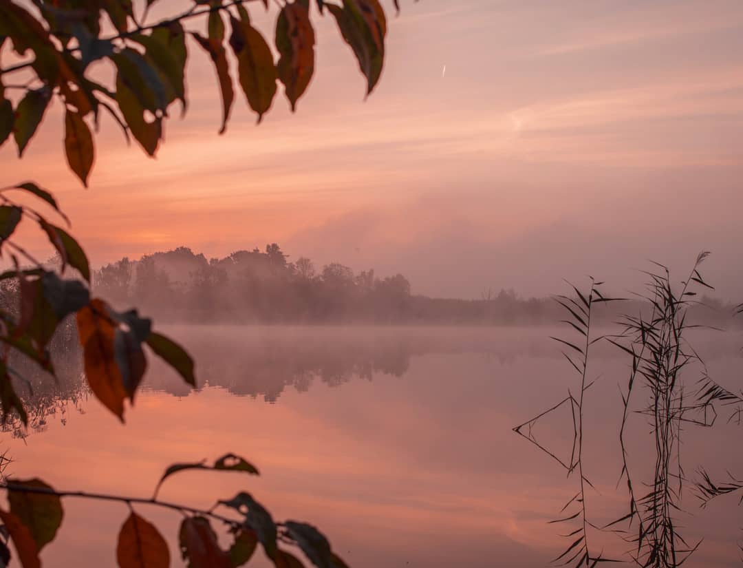 beautiful-misty-morning