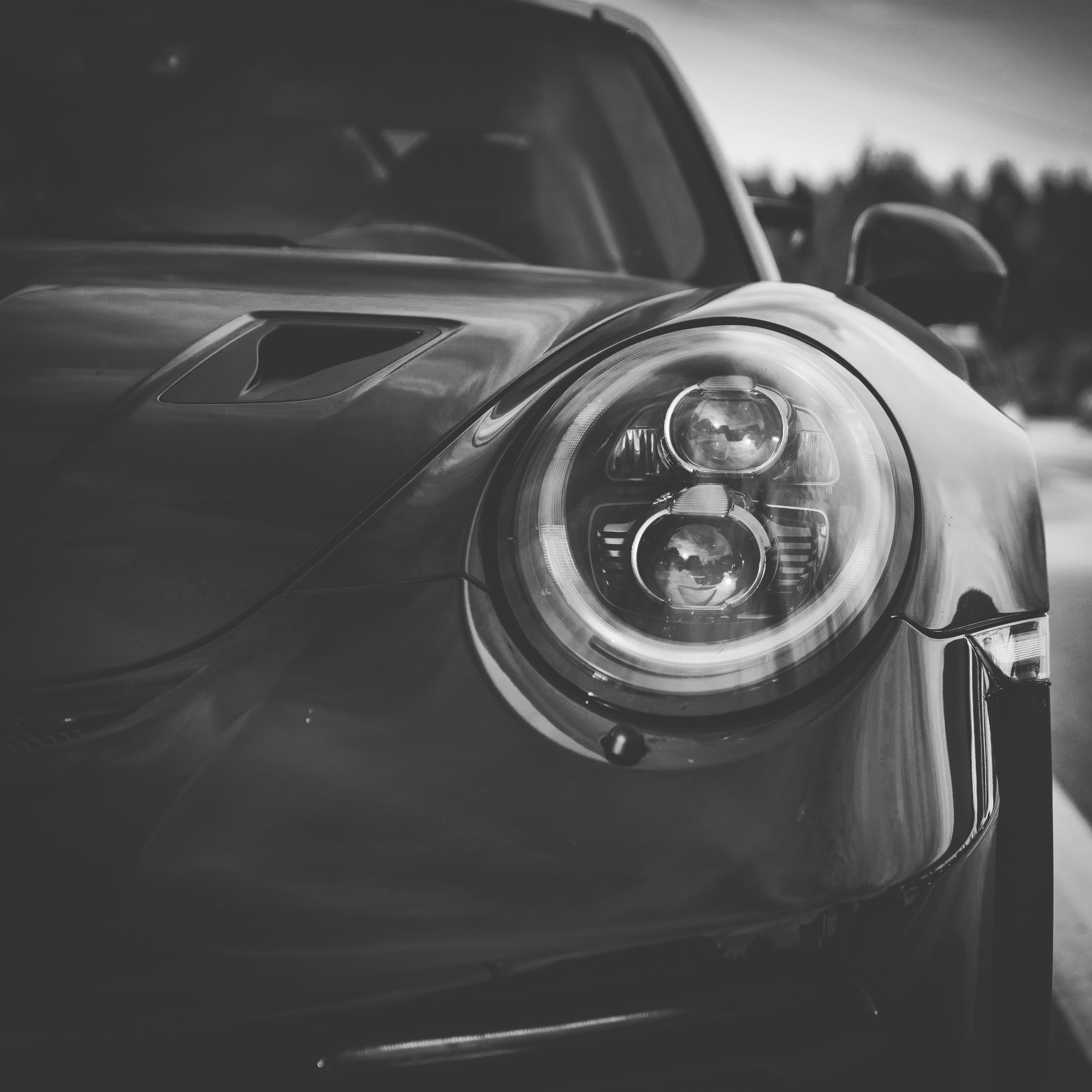 the-eye-of-a-monster