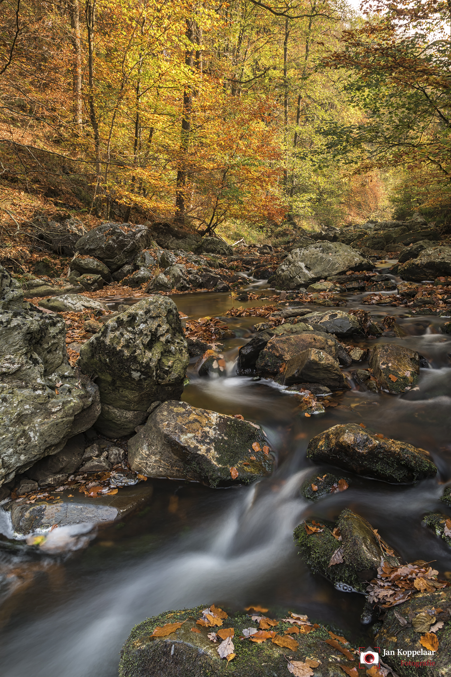 vall%C3%A9e-de-la-ho%C3%ABgne