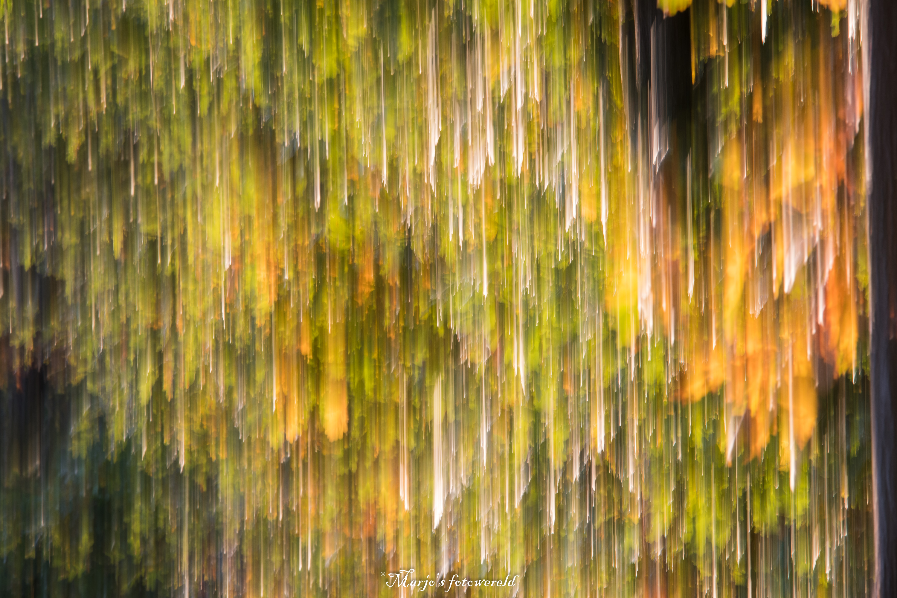 fairytale-autumn-colors