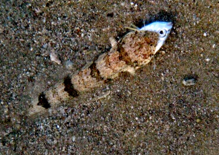 eten-en-gegeten-worden-1