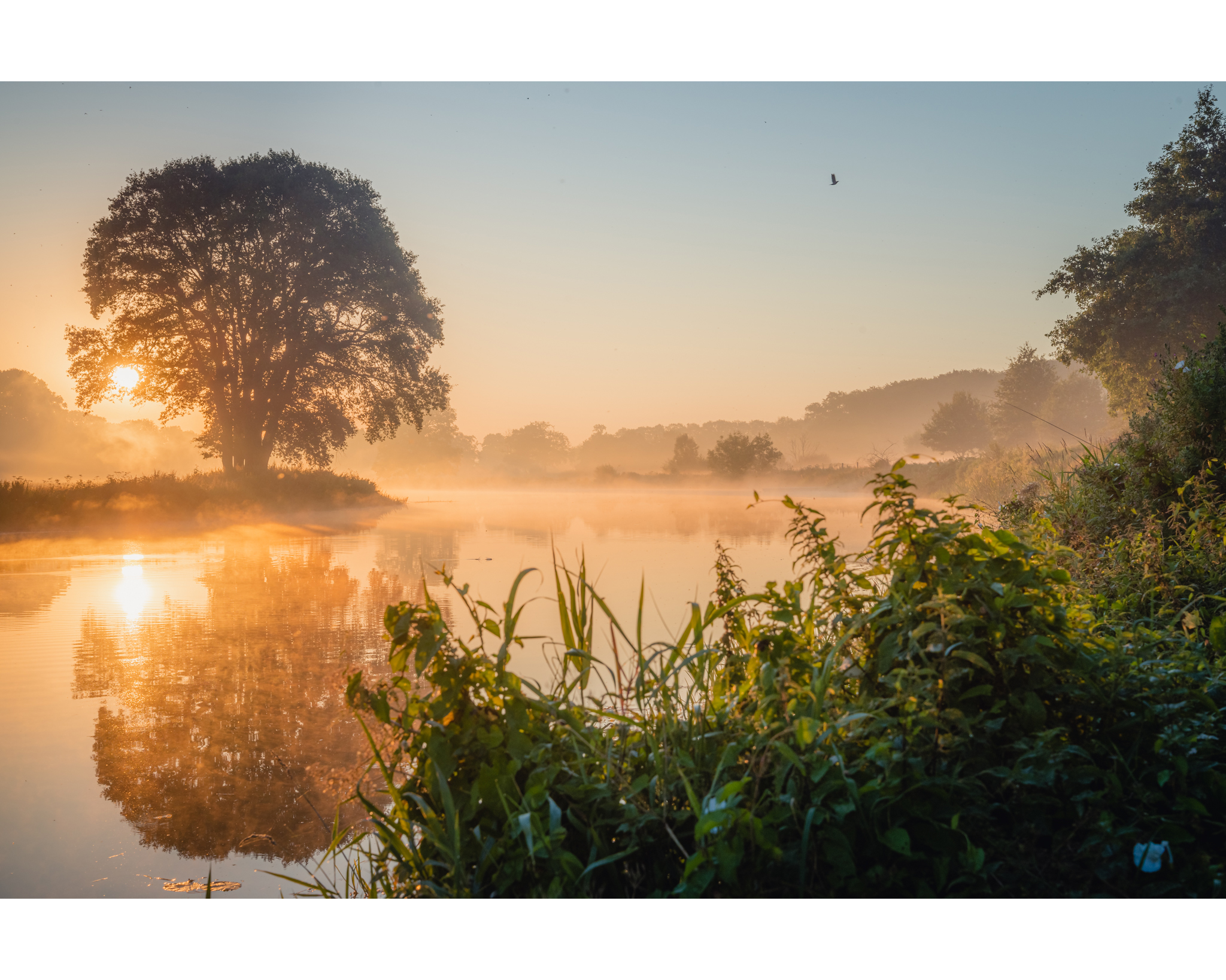 zonsopgang-aan-de-overijsselse-vecht