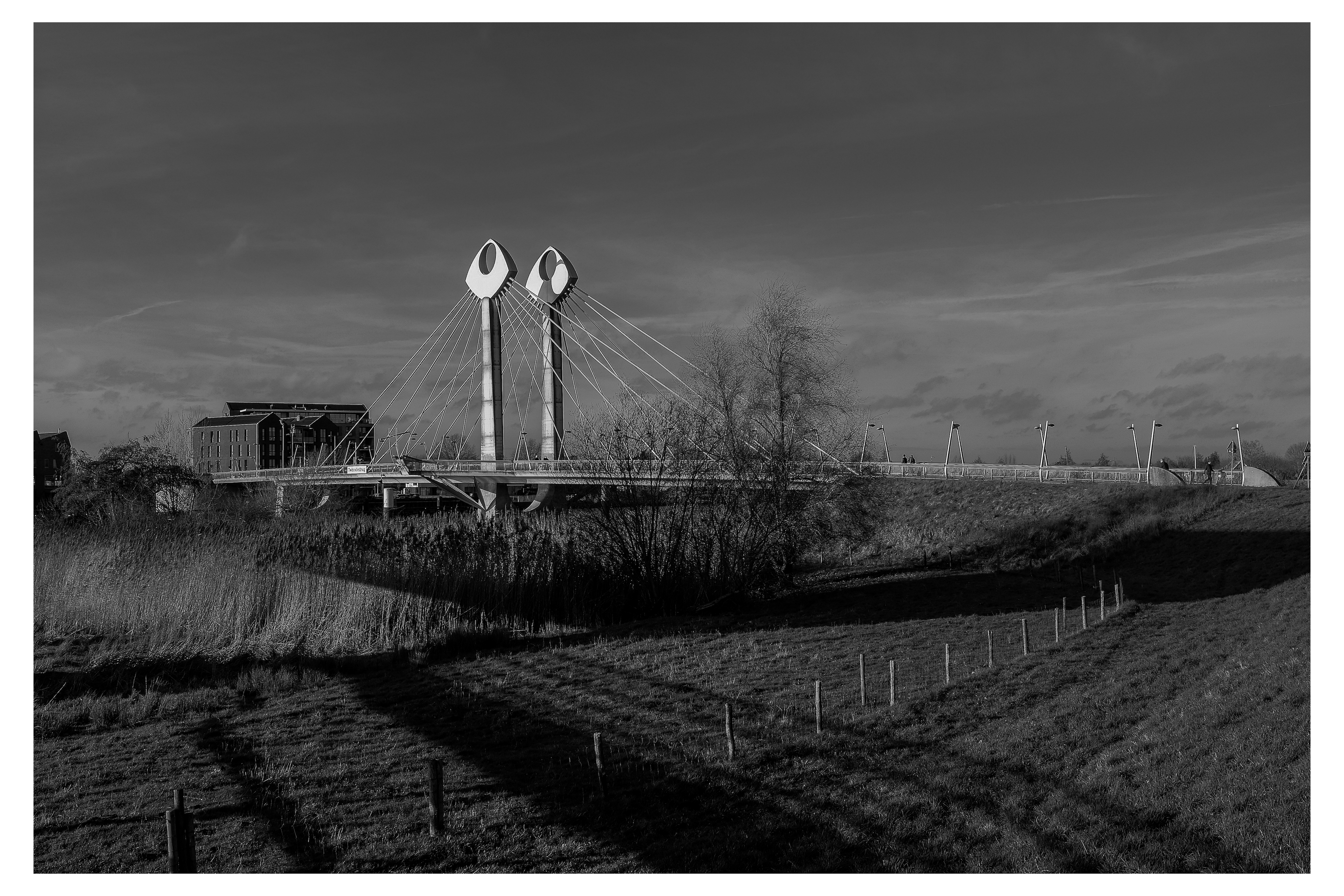 twistvliet-bridge-zwolle