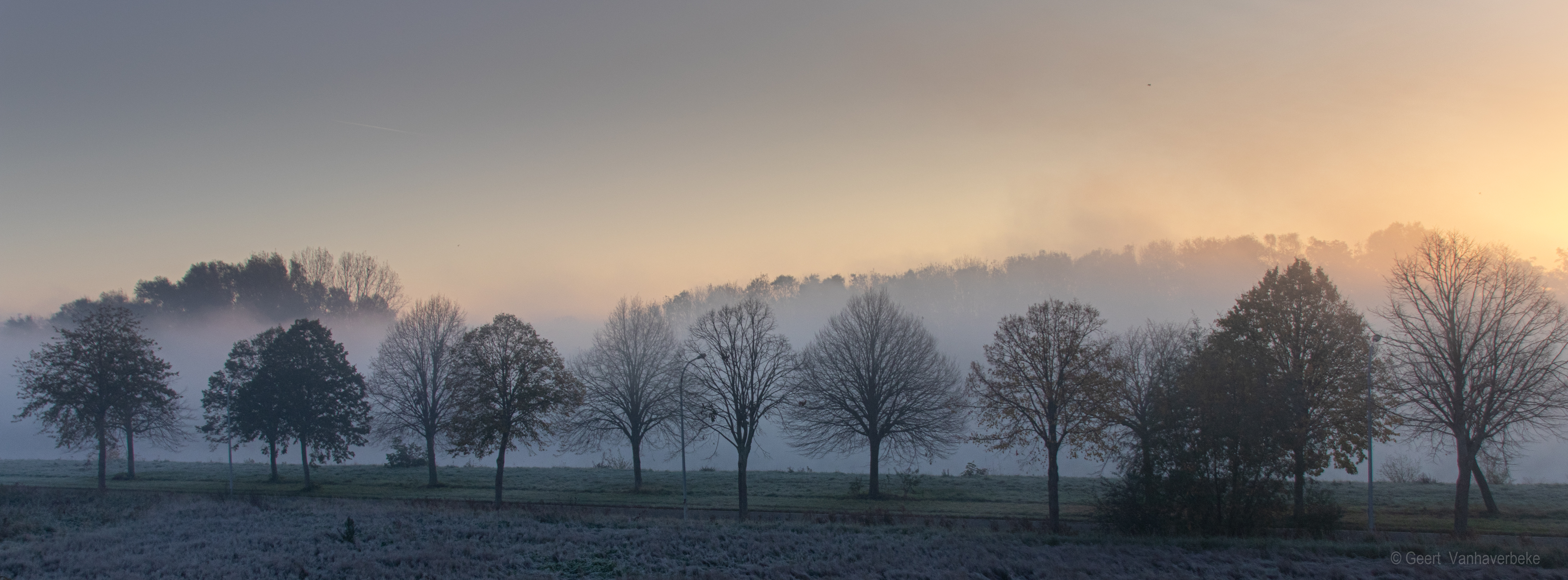 vlaspark-in-een-koude-ochtend