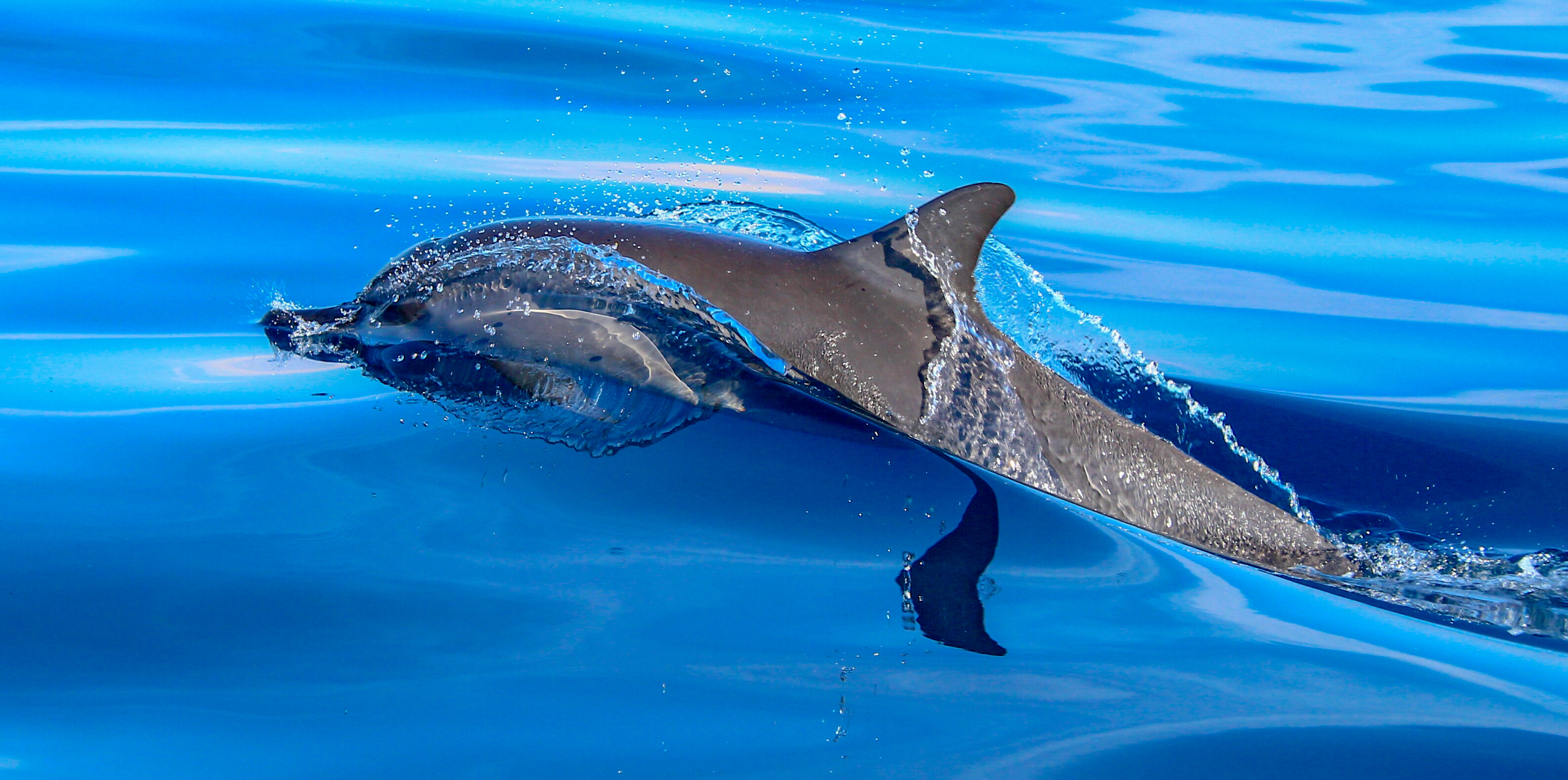 zwemmen-langs-de-balinese-kust-0