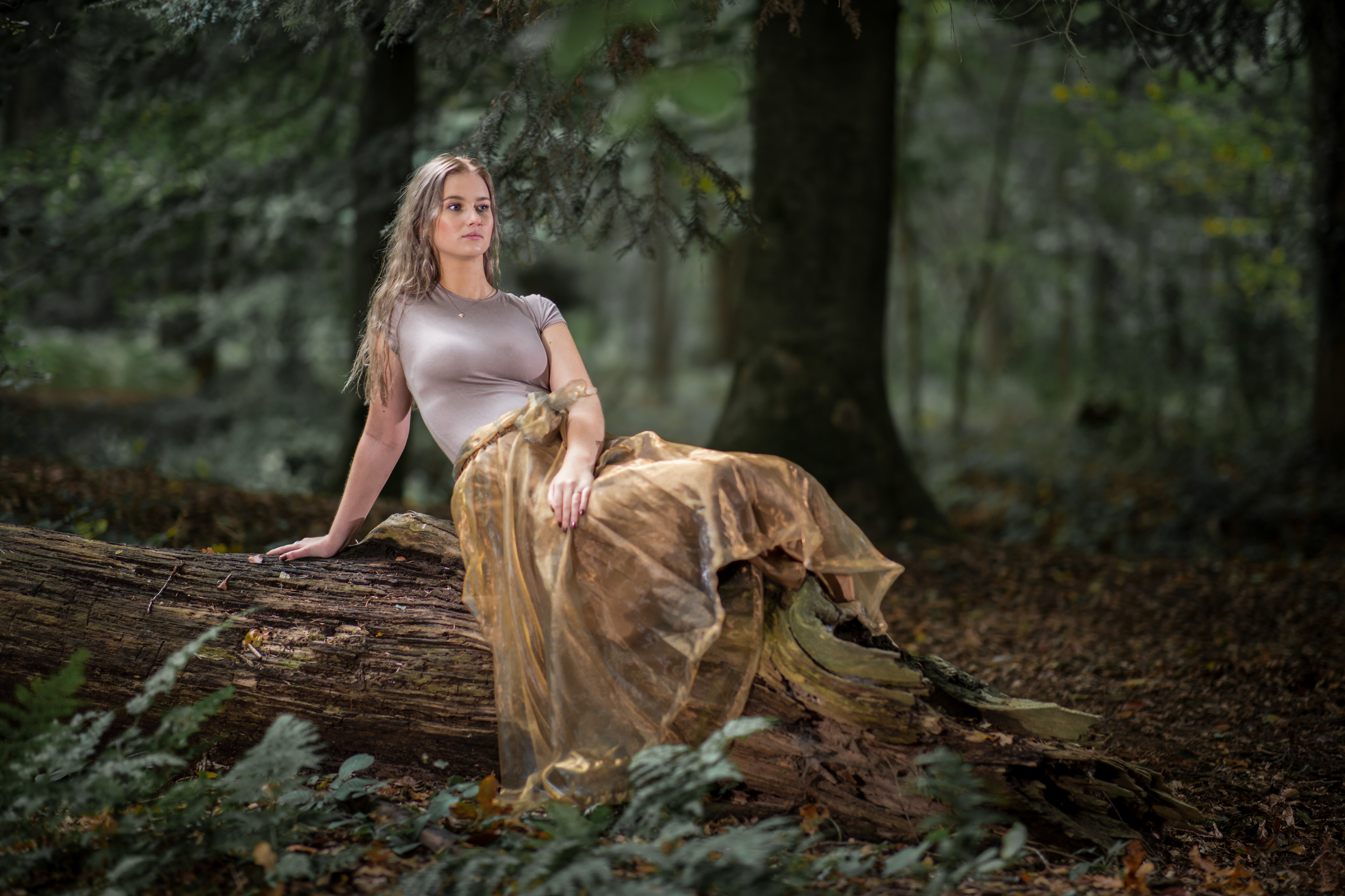 in-de-brabantse-bossen