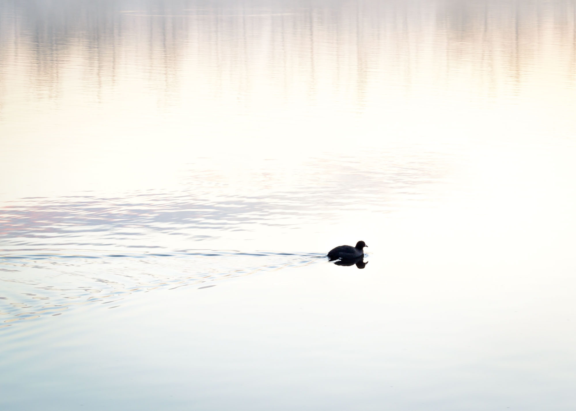 alleen-op-de-wereld-1