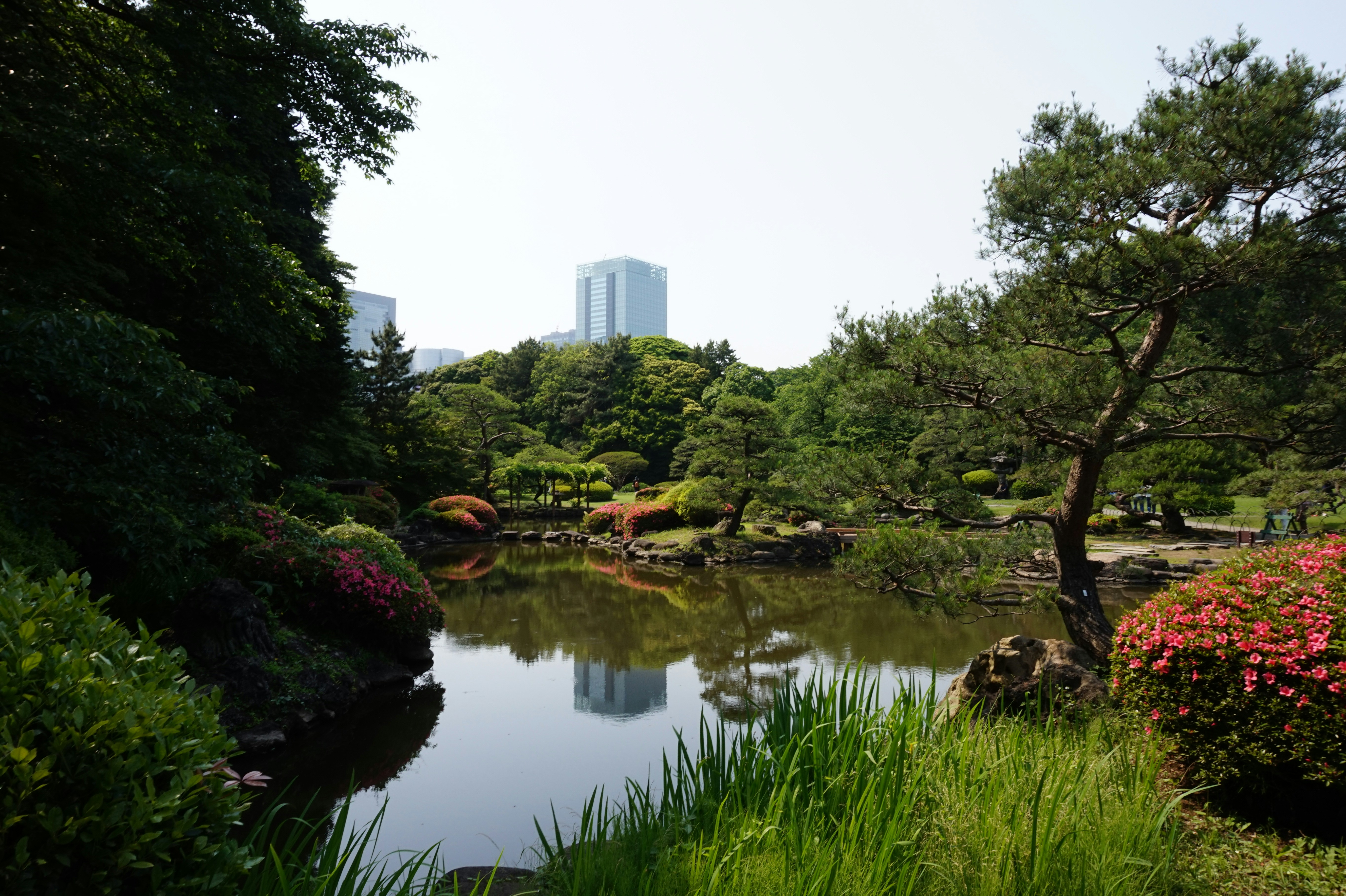 natuurfotografie-dichtbij-huis-tips-inspiratie