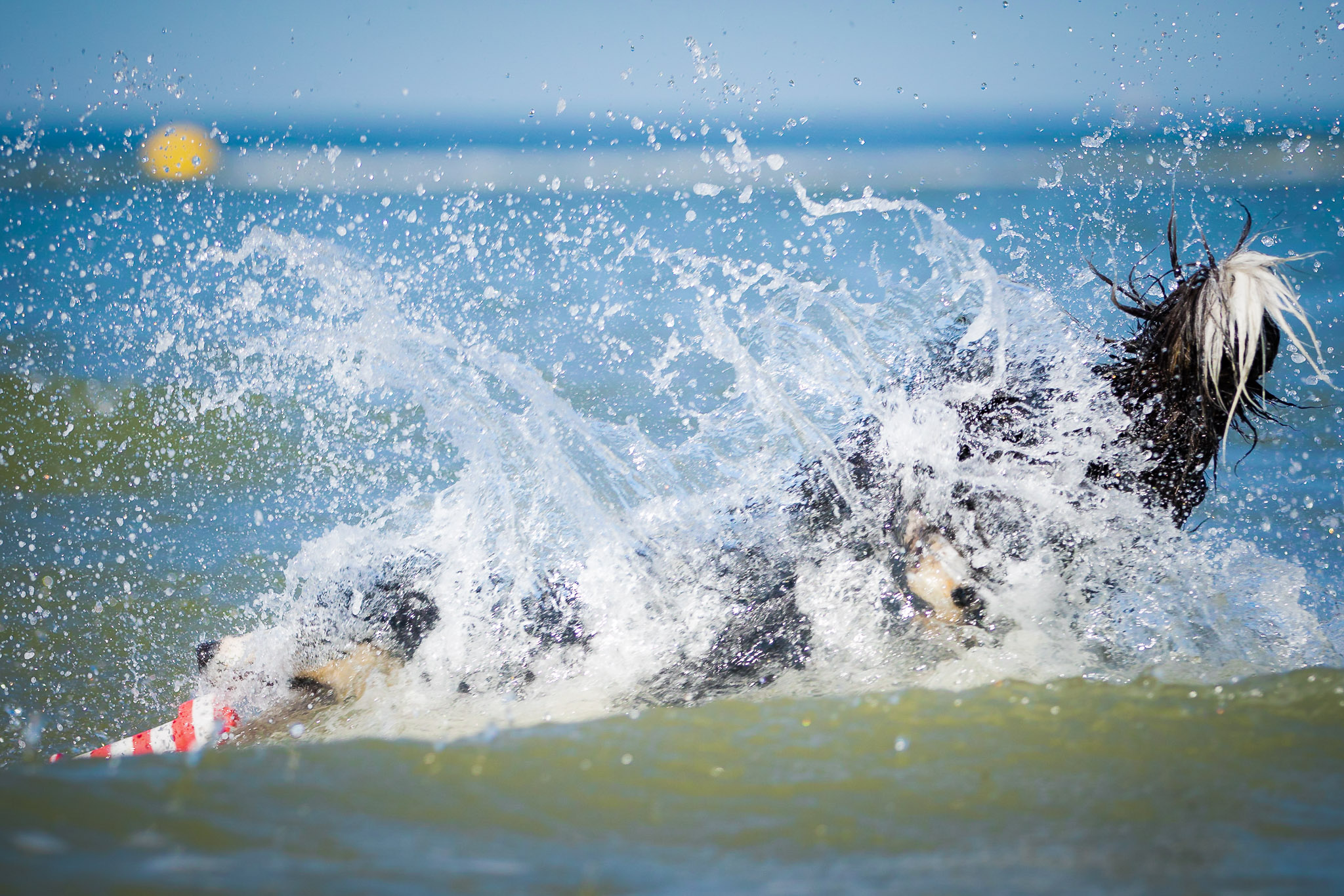 jindi-catching-waves