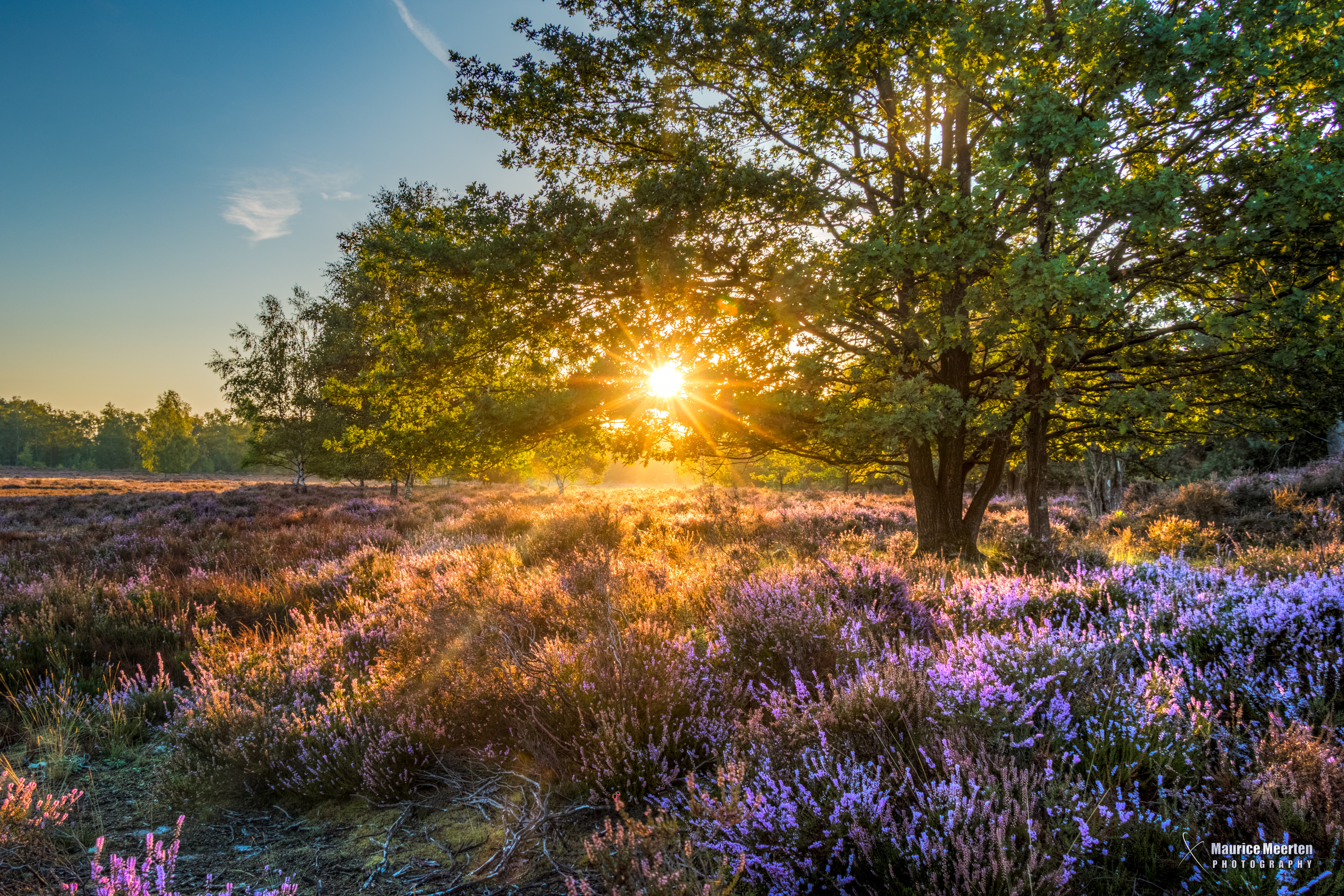 zonsopgang-op-de-heide
