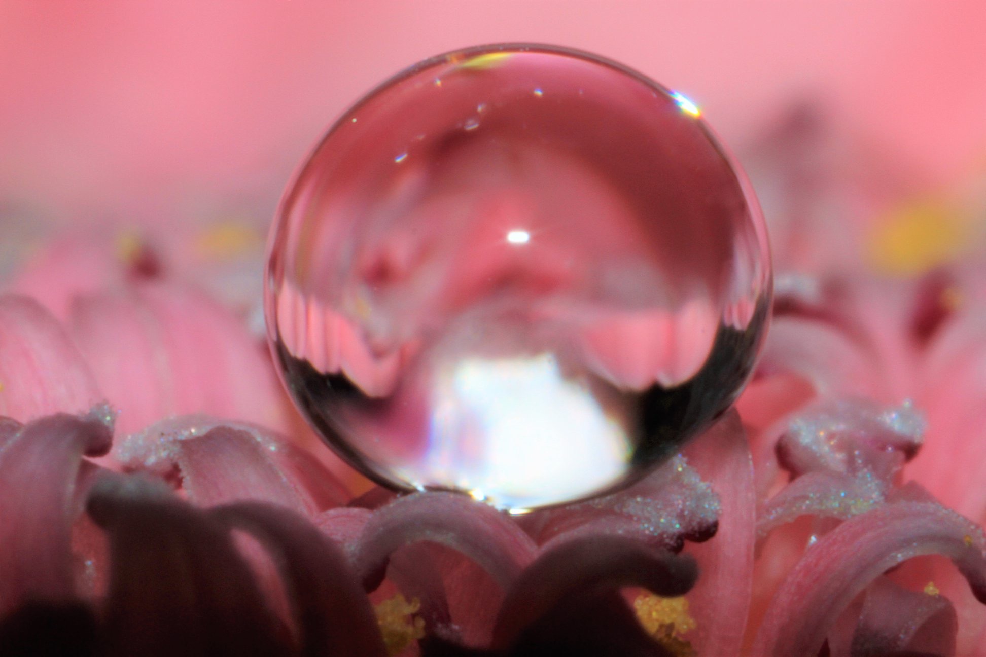 druppeltje-van-15mm-0